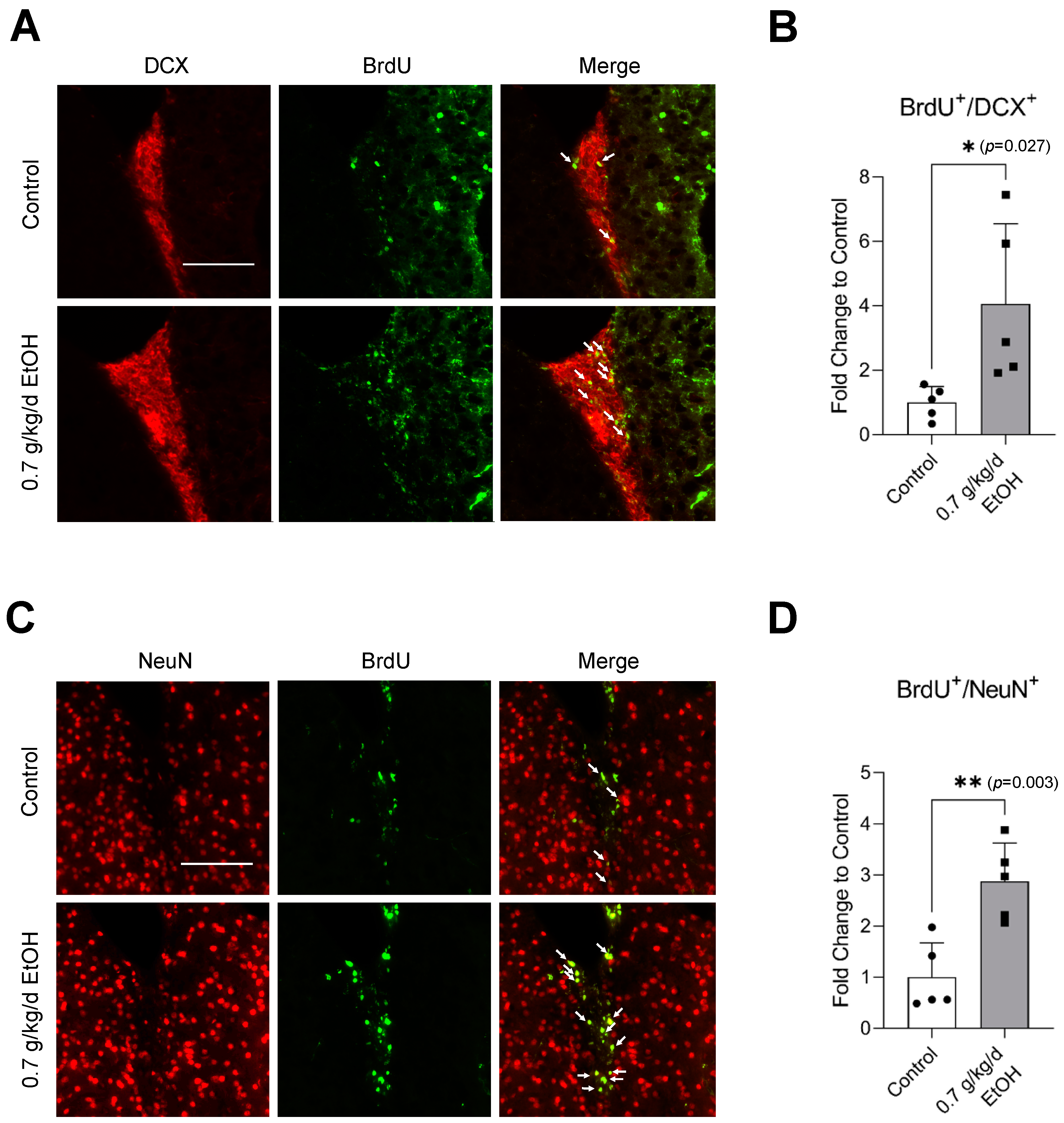 Biomedicines 11 01074 g004