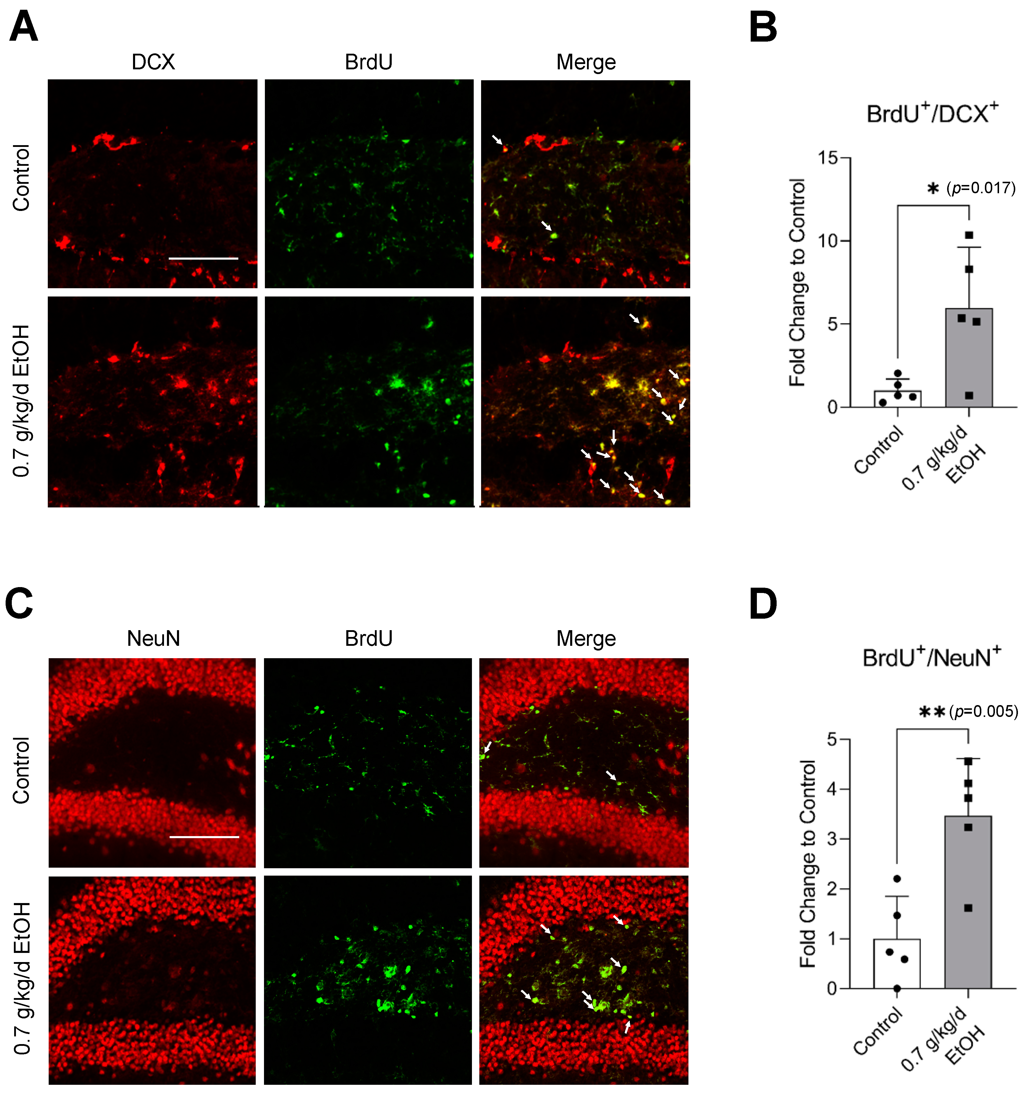 Biomedicines 11 01074 g005