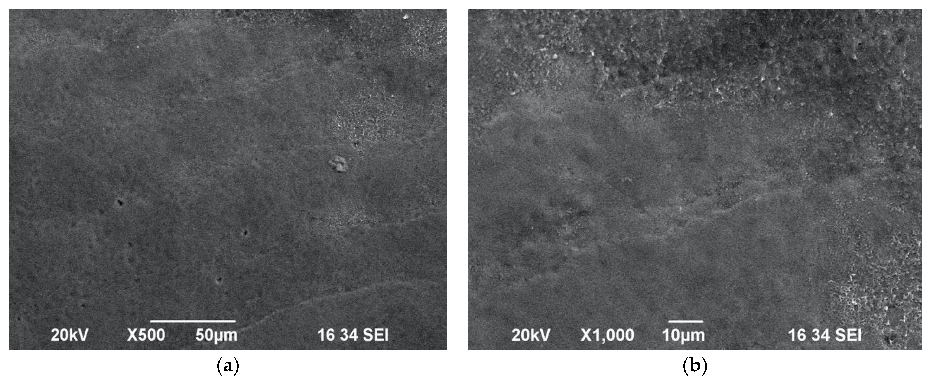 Biomedicines 11 01077 g003