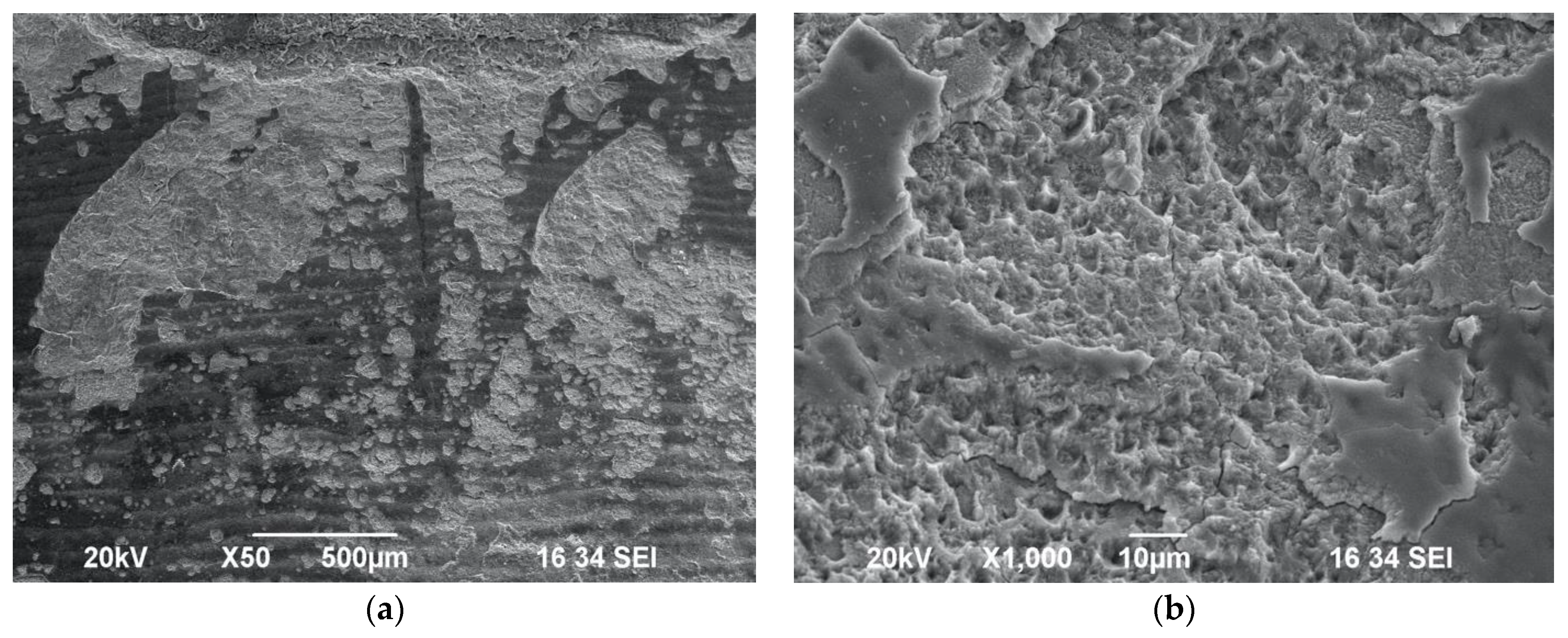 Biomedicines 11 01077 g004