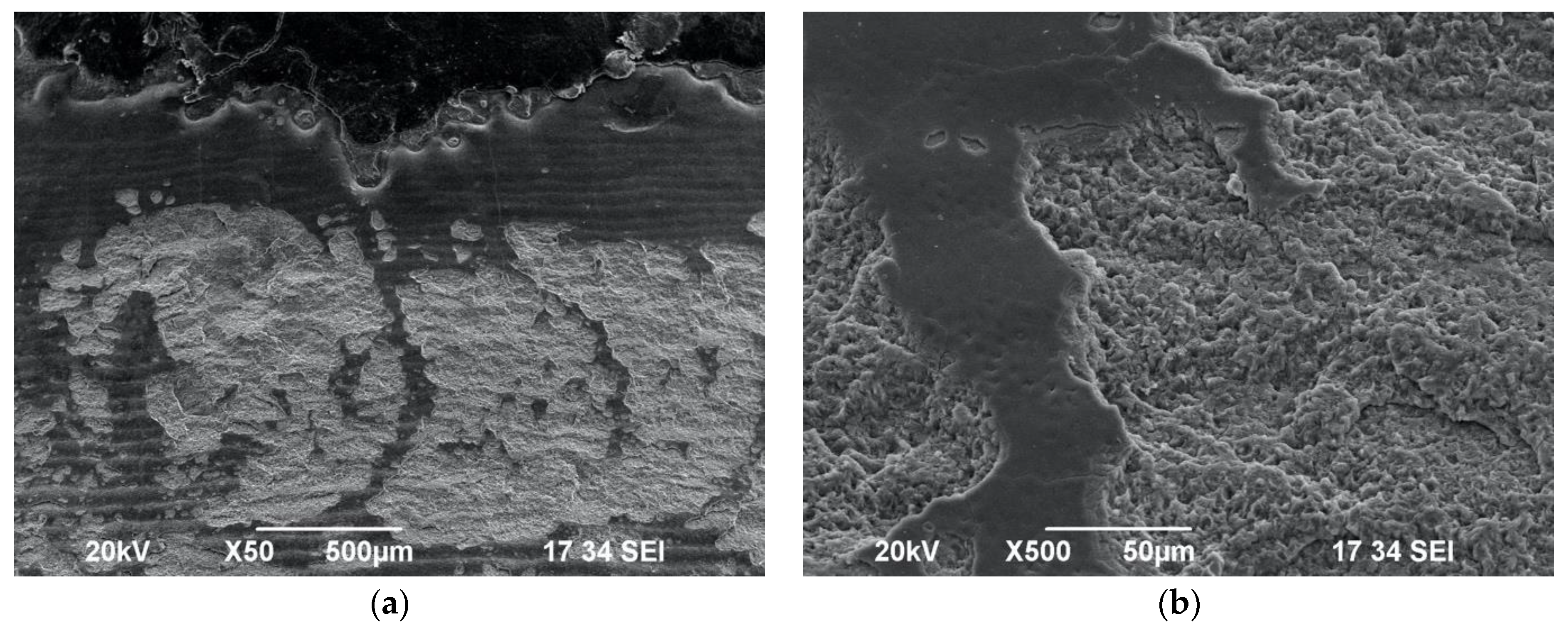 Biomedicines 11 01077 g006