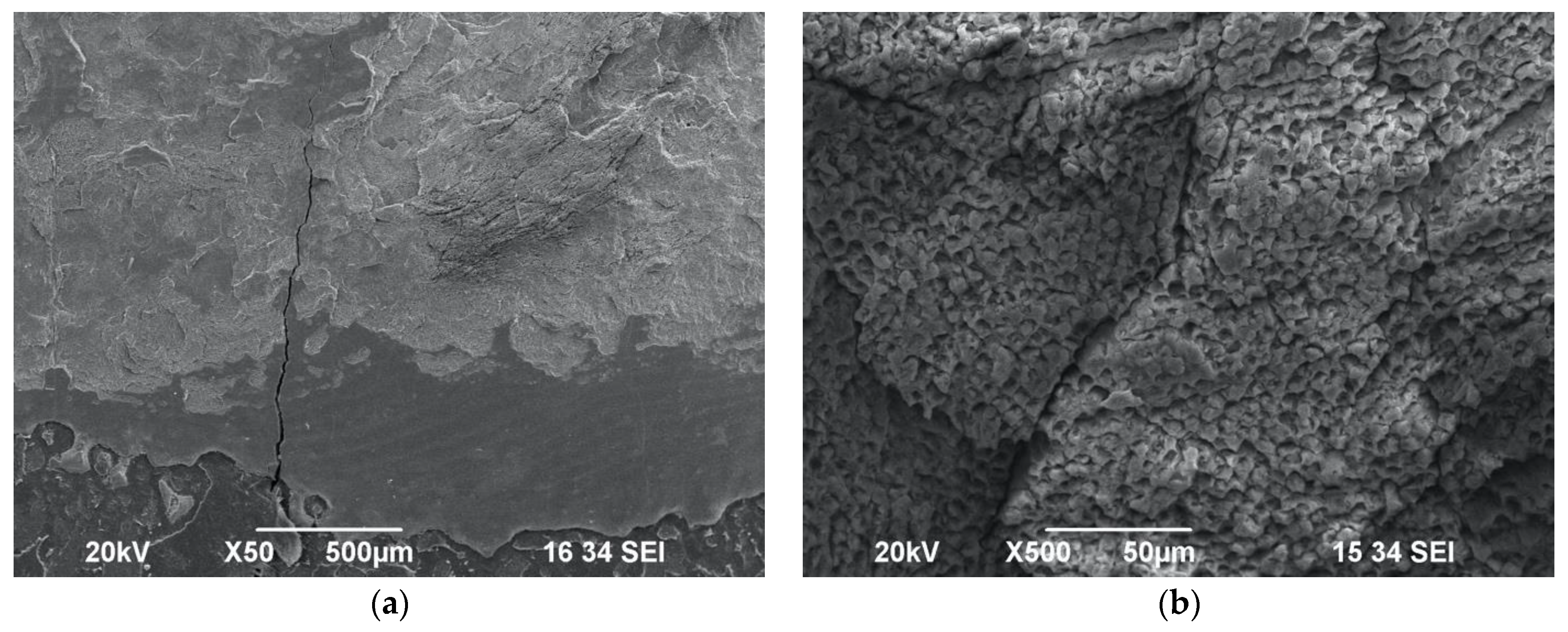 Biomedicines 11 01077 g007