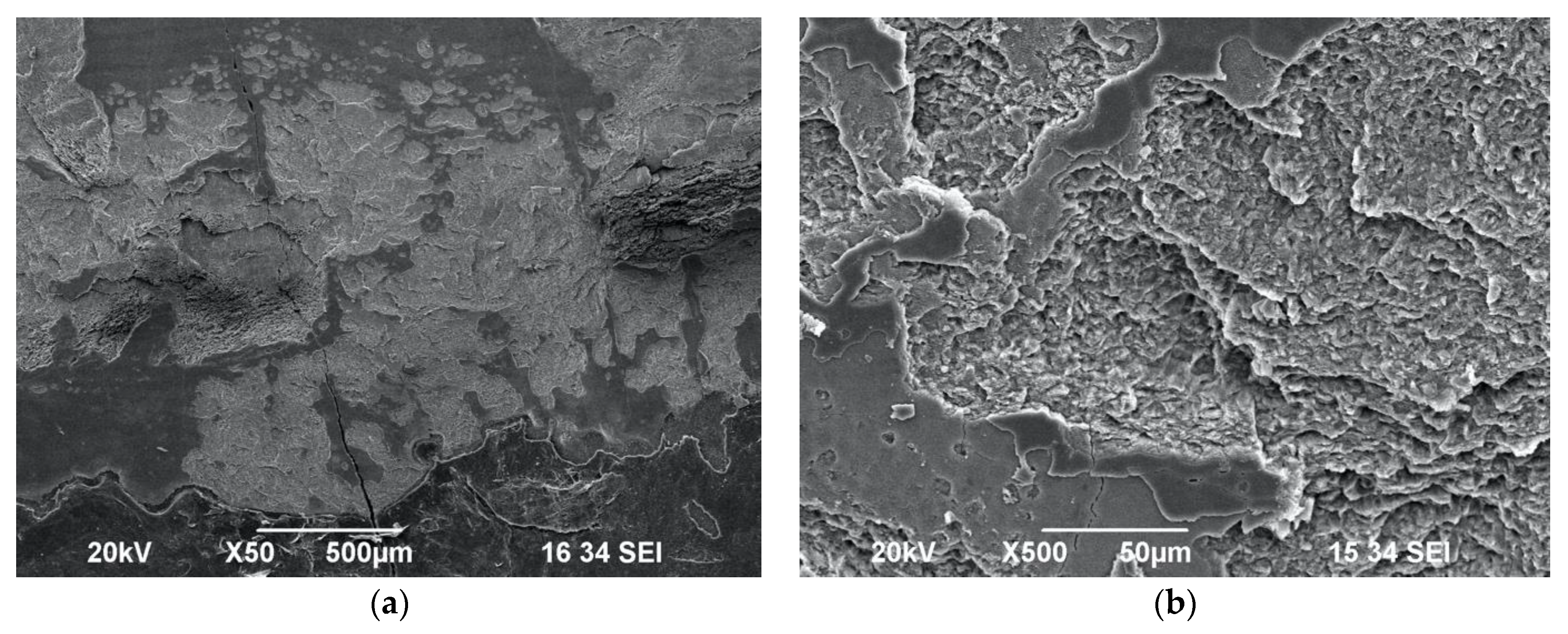 Biomedicines 11 01077 g008