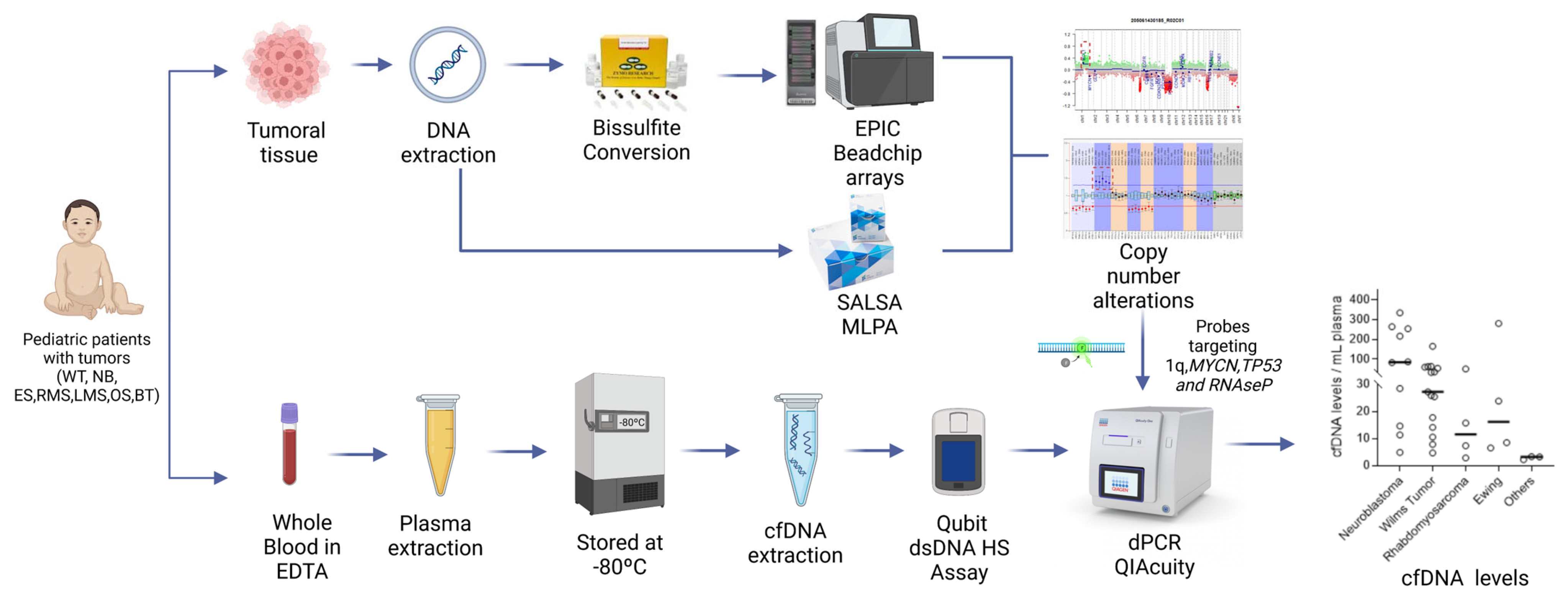 Biomedicines 11 01082 g001 Biomedicines 11 01082 g001