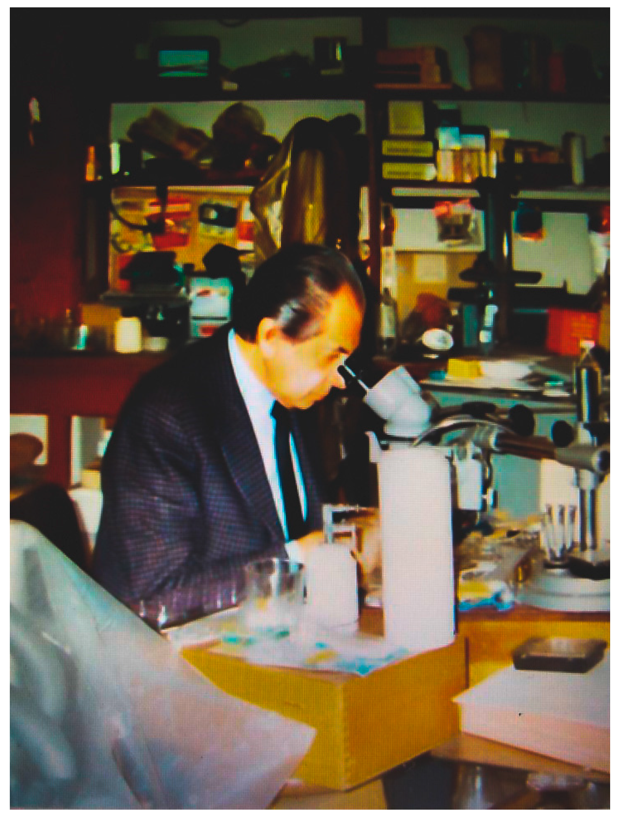 Biomedicines 11 01086 g001 Biomedicines 11 01086 g001