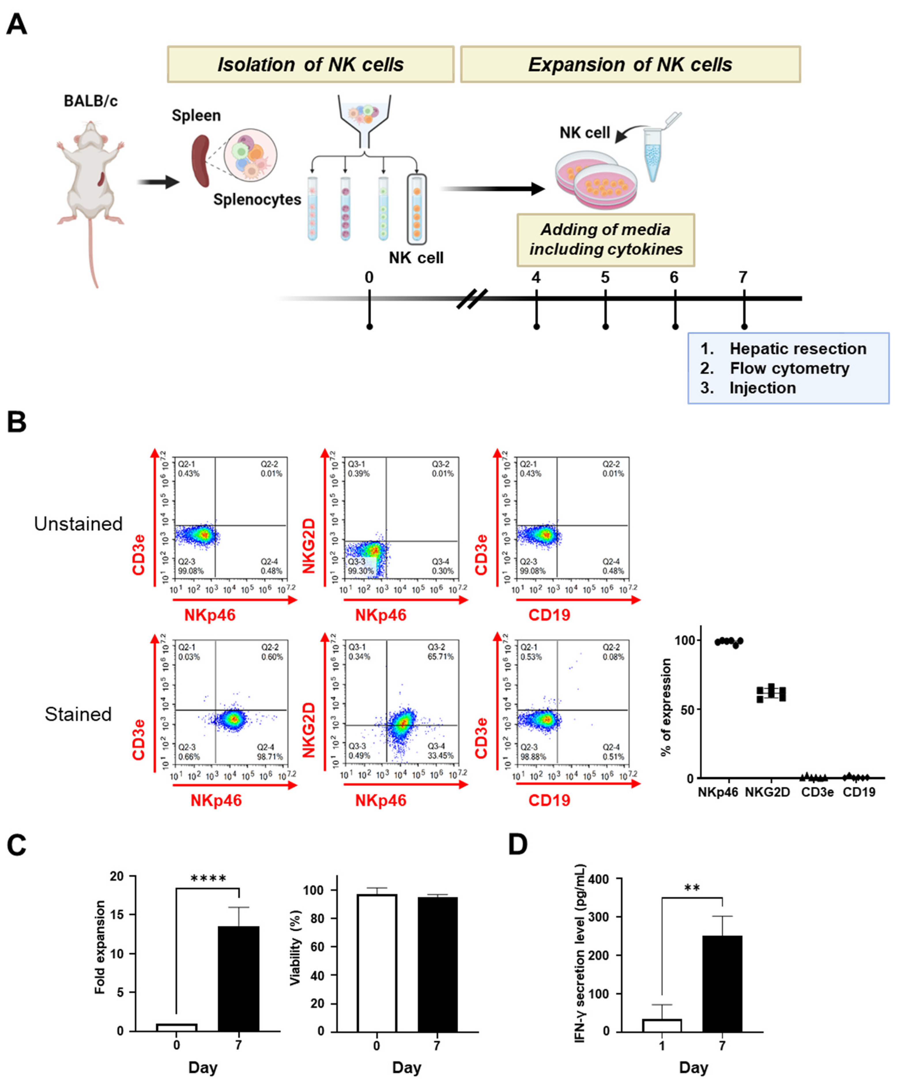 Biomedicines 11 01090 g001 Biomedicines 11 01090 g001