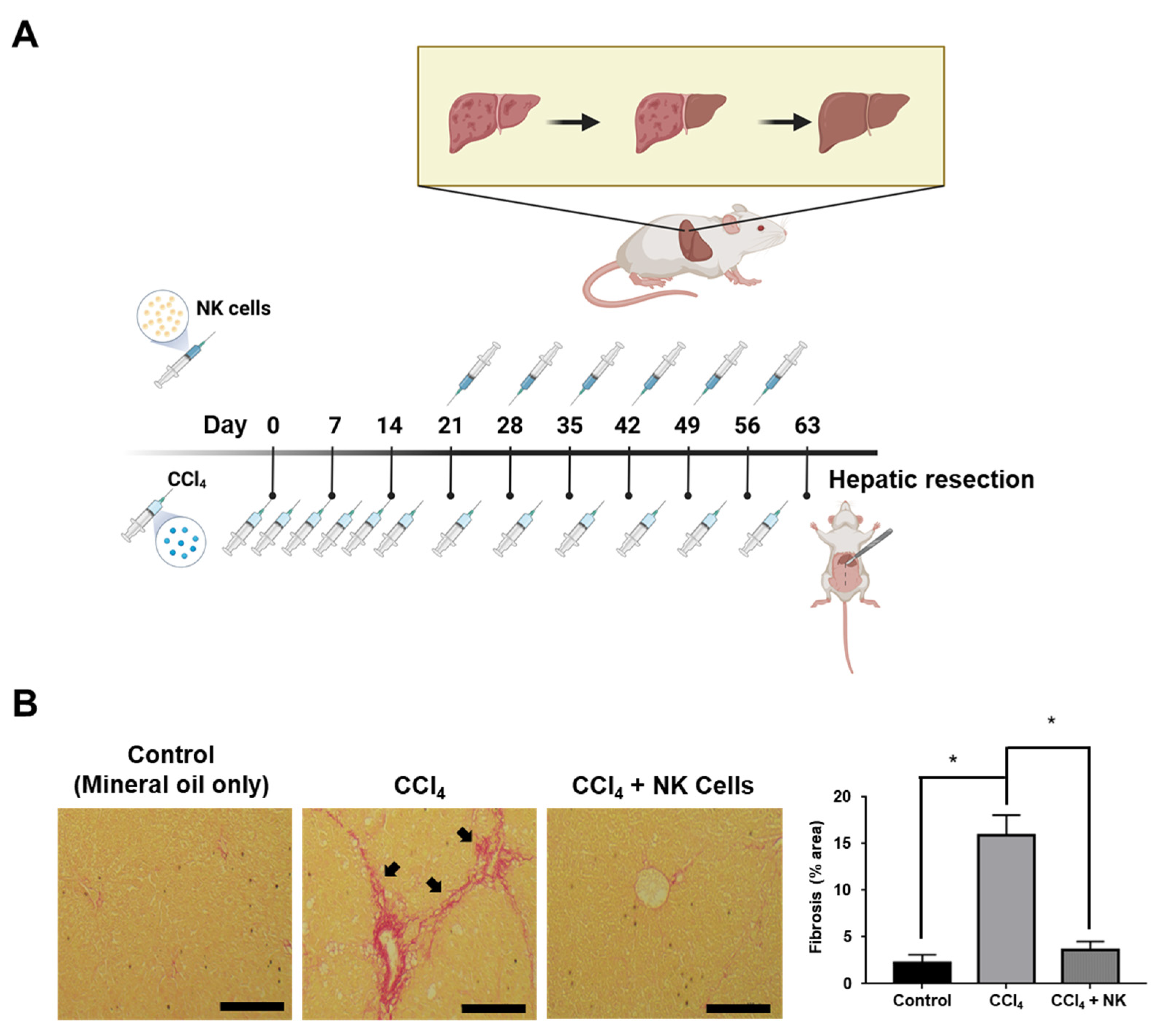 Biomedicines 11 01090 g003 Biomedicines 11 01090 g003
