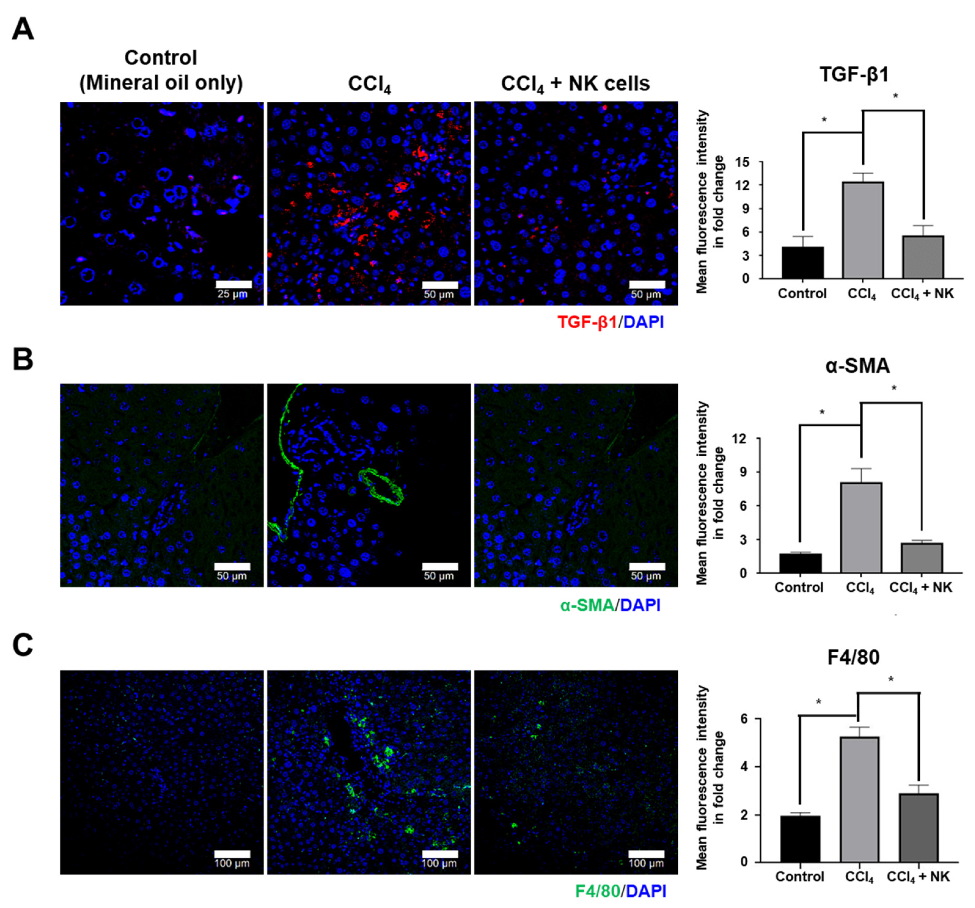 Biomedicines 11 01090 g004 Biomedicines 11 01090 g004
