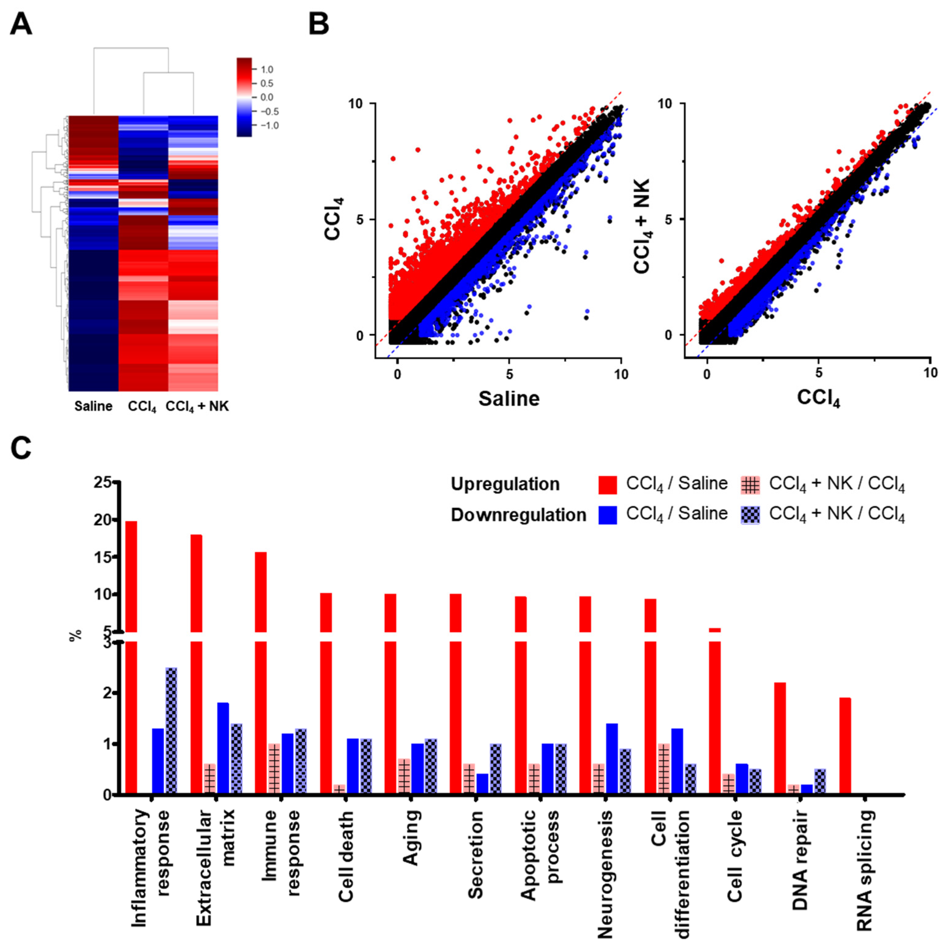 Biomedicines 11 01090 g006 Biomedicines 11 01090 g006