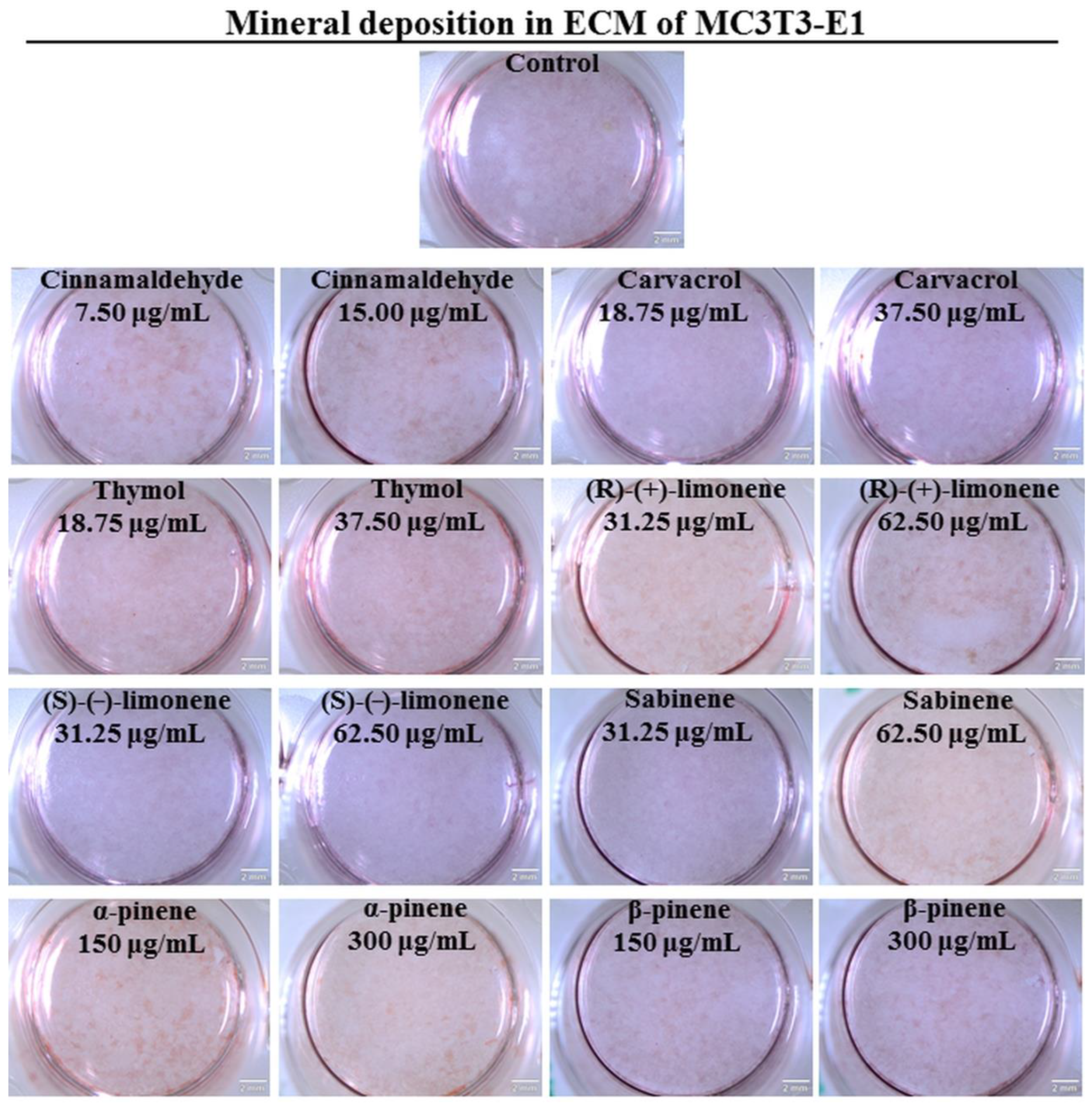 Biomedicines 11 01095 g004 Biomedicines 11 01095 g004