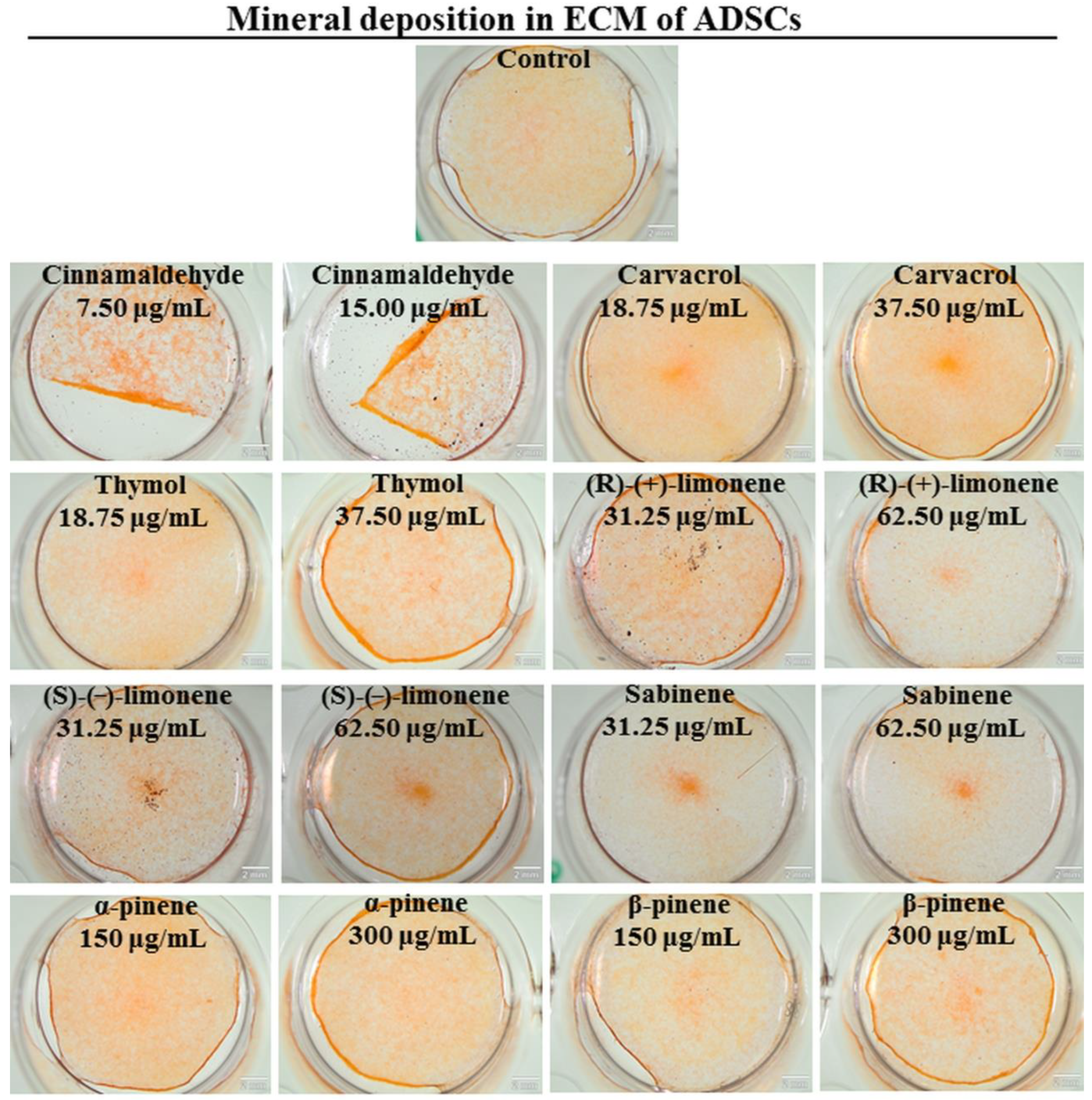 Biomedicines 11 01095 g005 Biomedicines 11 01095 g005