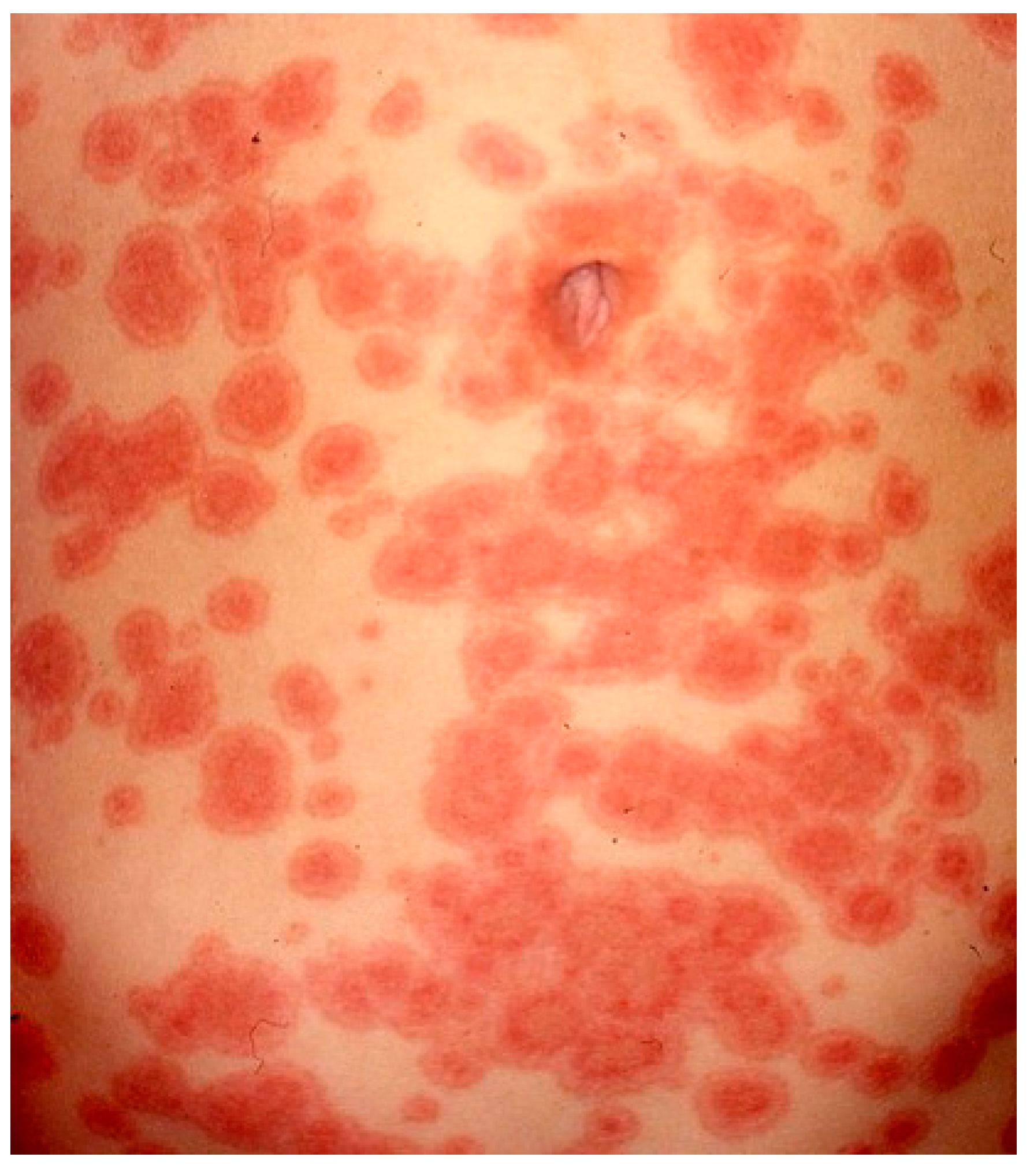 Biomedicines 11 01096 g009 Biomedicines 11 01096 g009