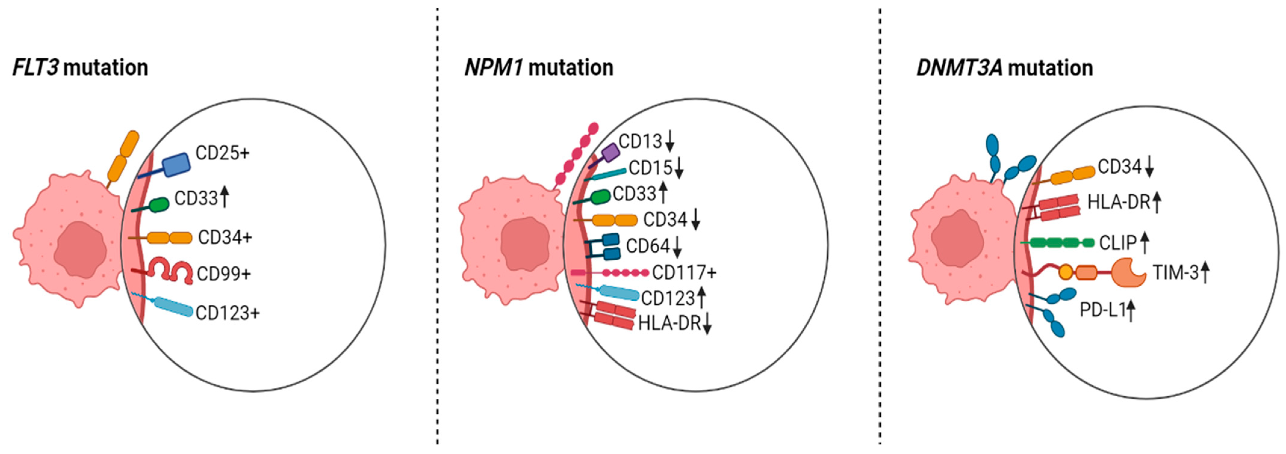Biomedicines 11 01098 g002 Biomedicines 11 01098 g002