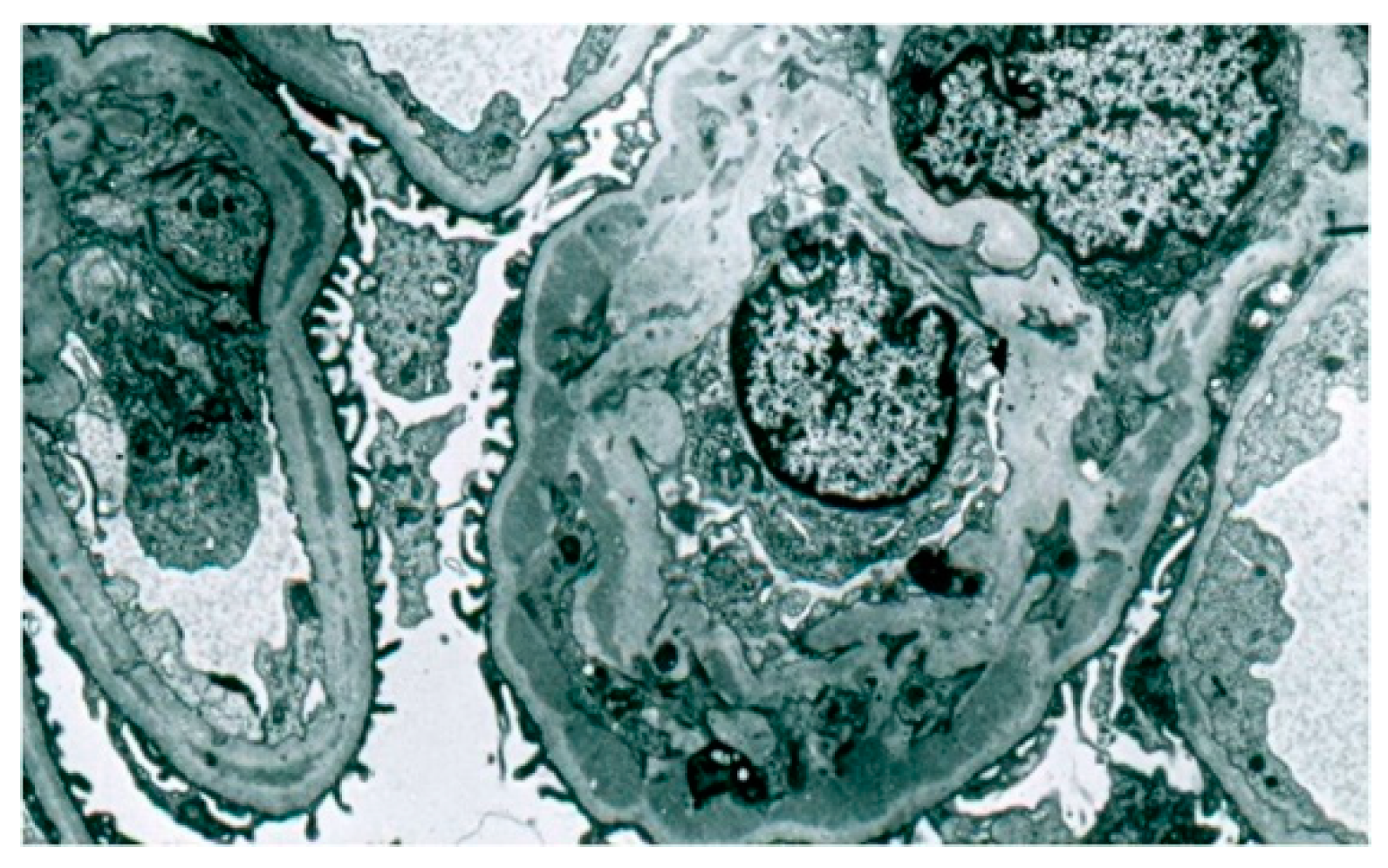Biomedicines 11 01101 g006