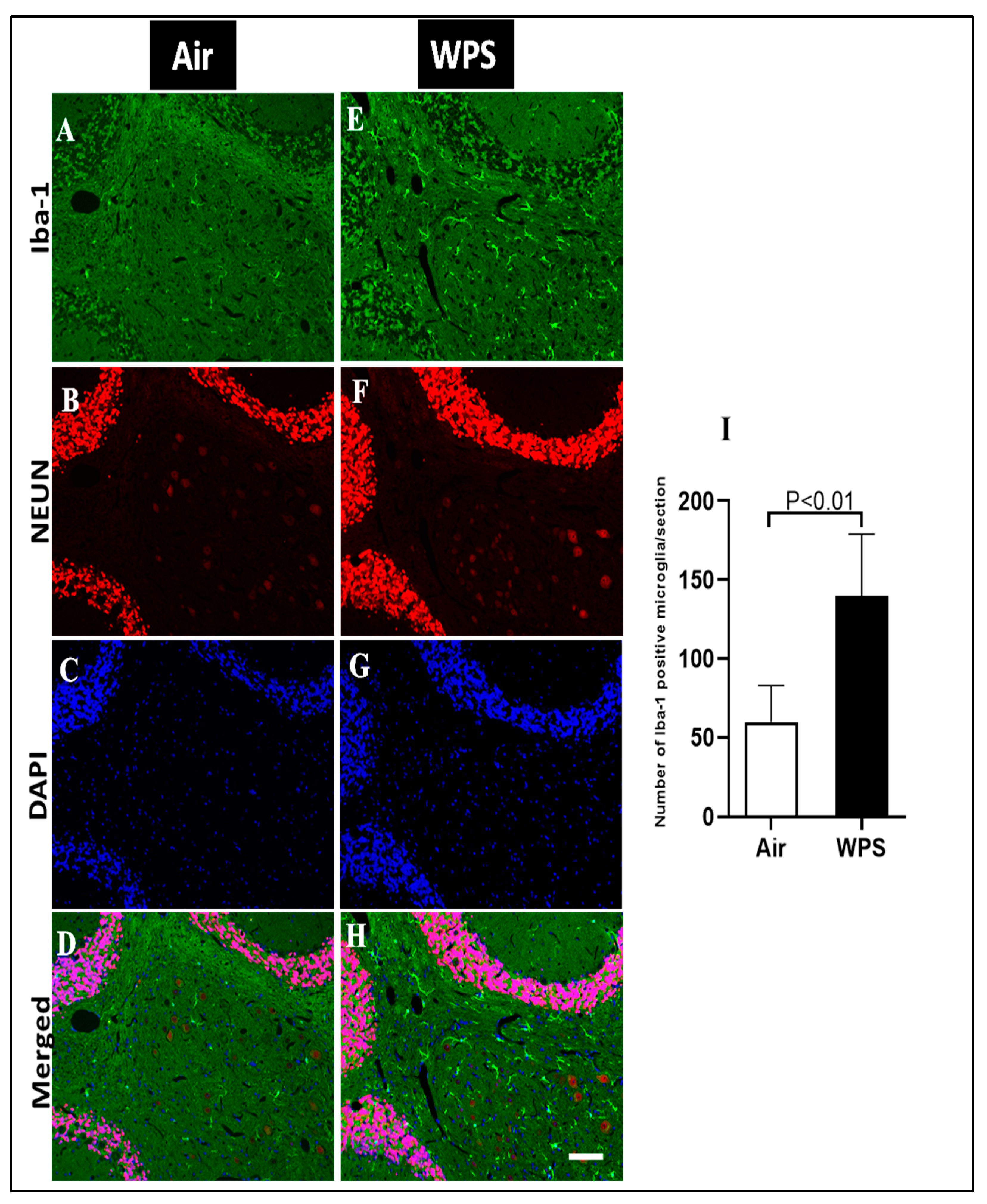 Biomedicines 11 01104 g006