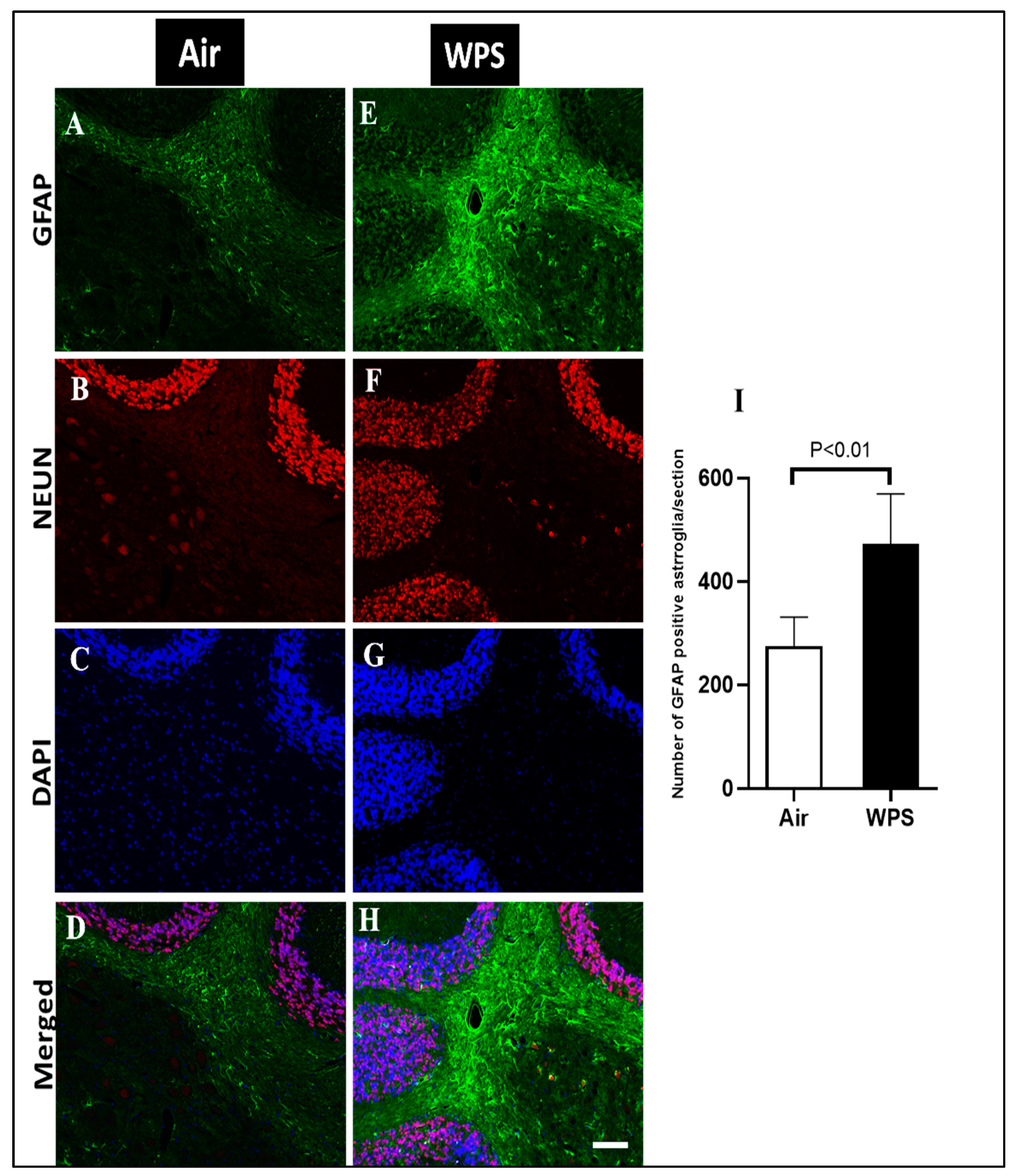 Biomedicines 11 01104 g008