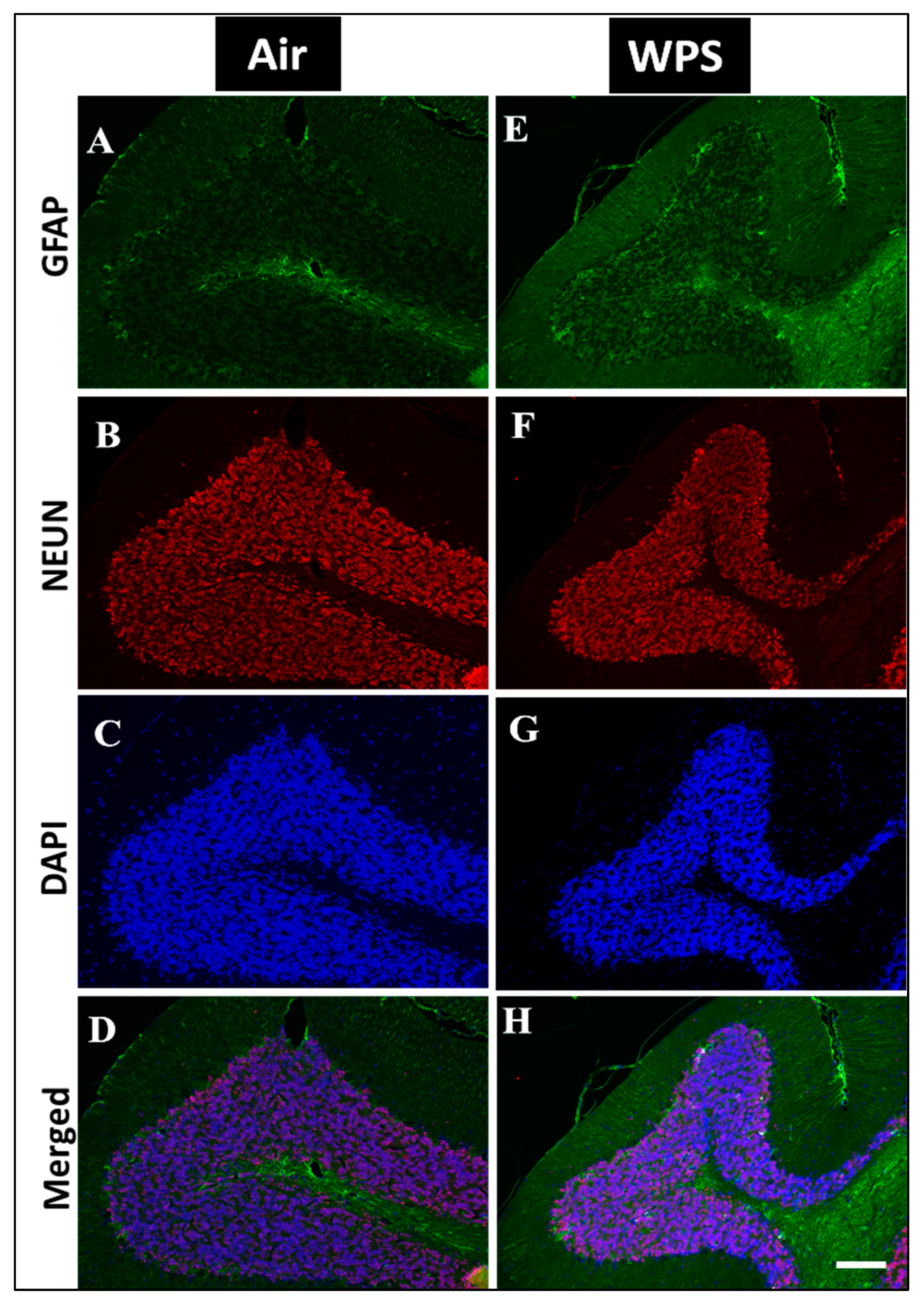 Biomedicines 11 01104 g009