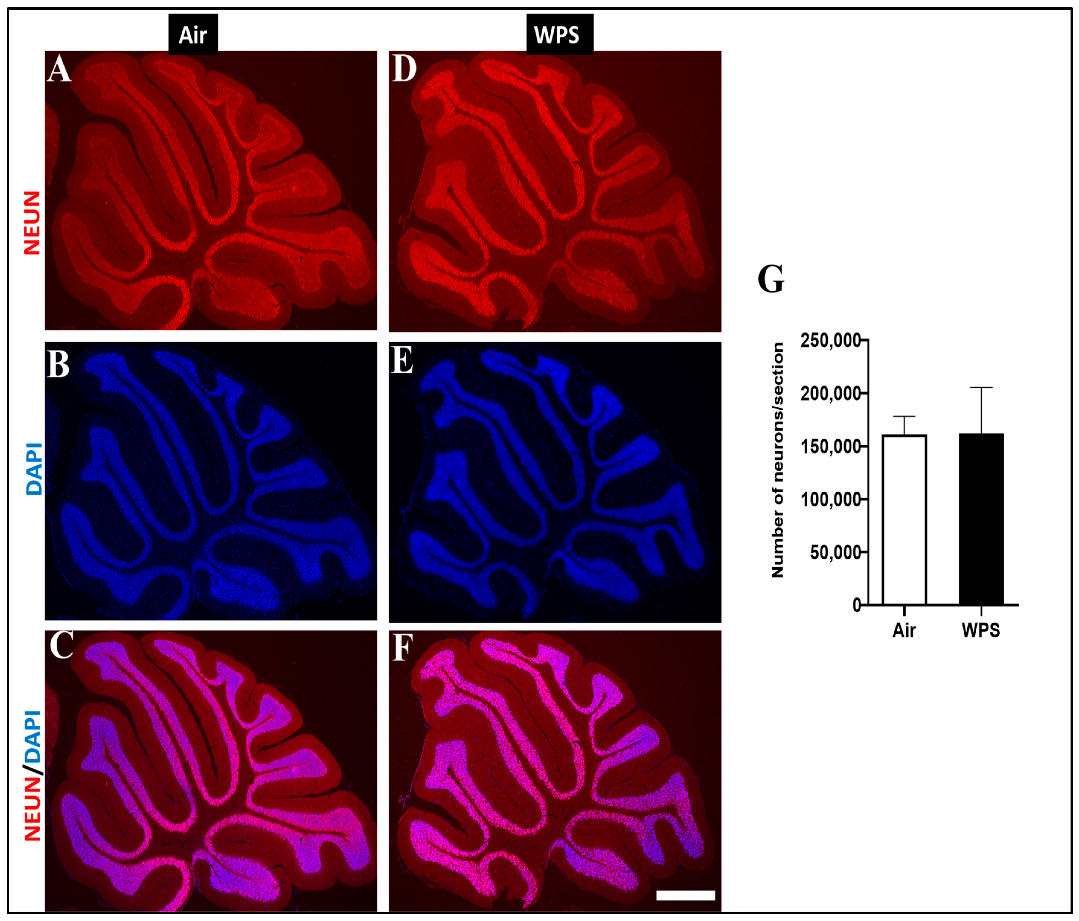 Biomedicines 11 01104 g010