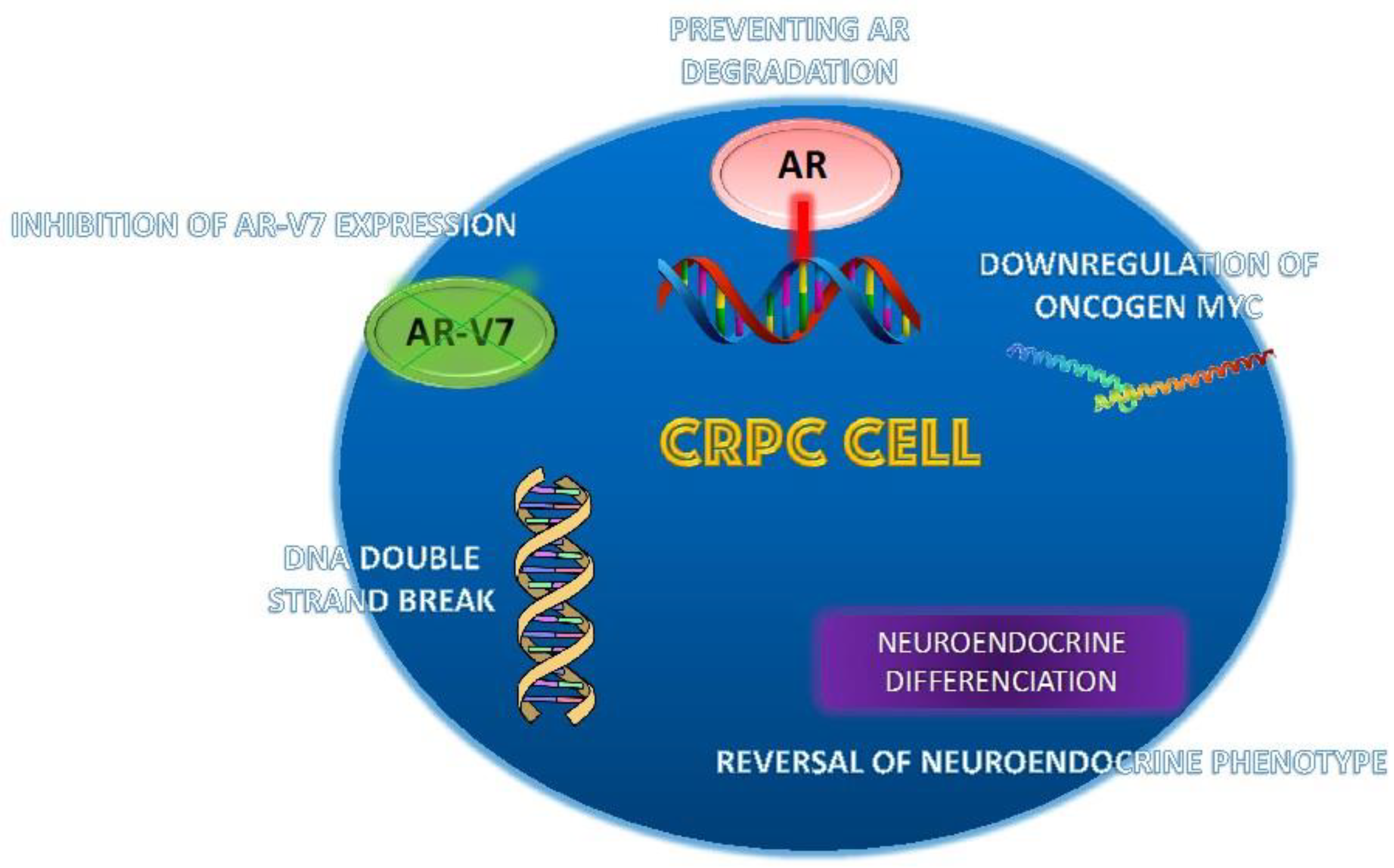 Biomedicines 11 01105 g003 Biomedicines 11 01105 g003