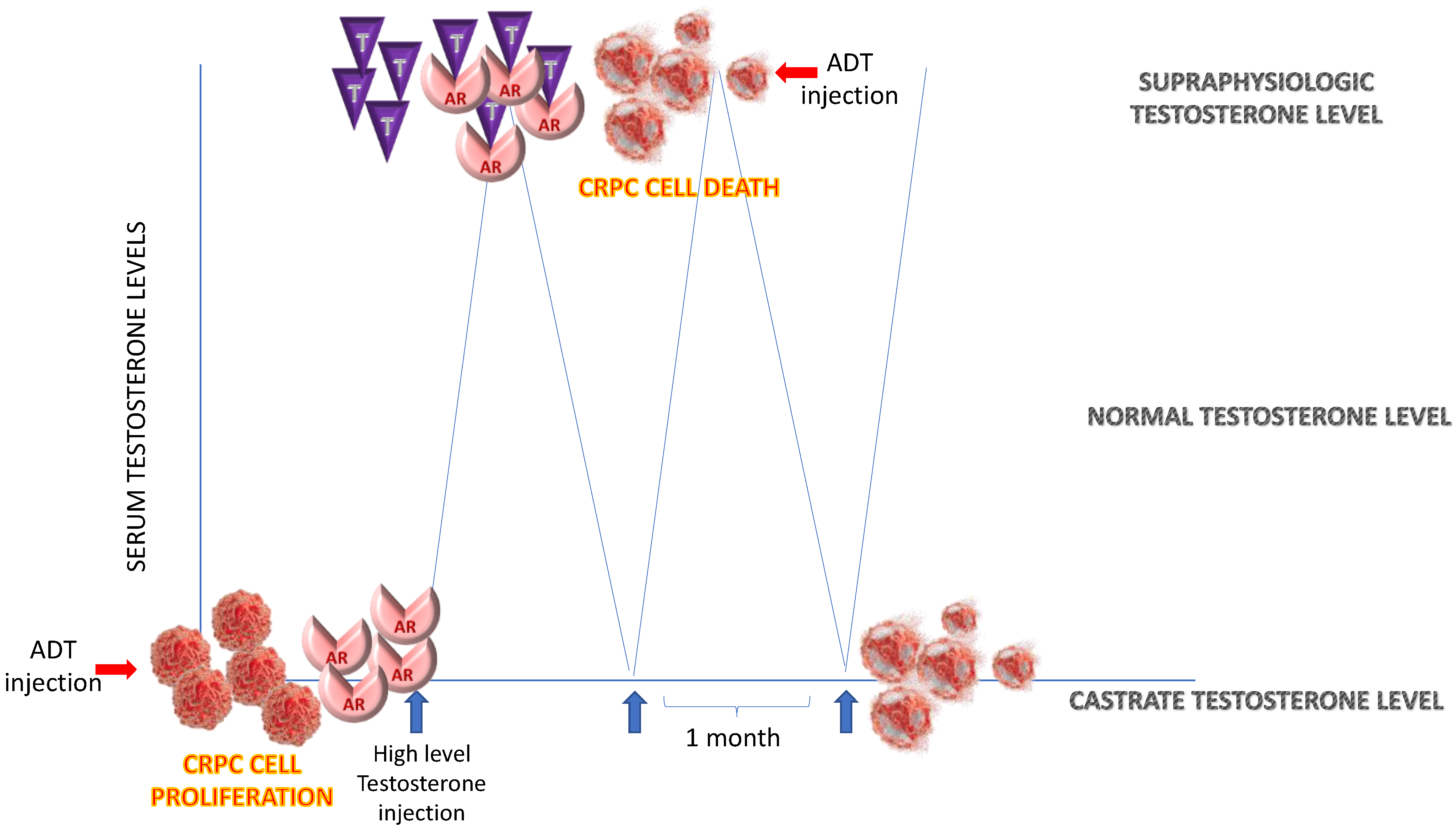 Biomedicines 11 01105 g004 Biomedicines 11 01105 g004