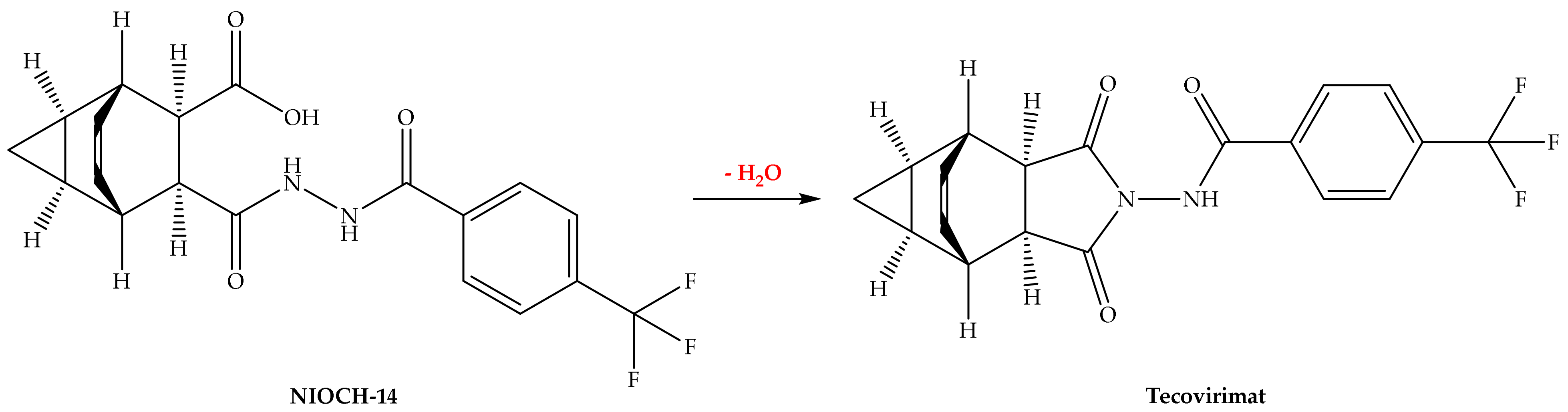 Biomedicines 11 01106 g004 Biomedicines 11 01106 g004