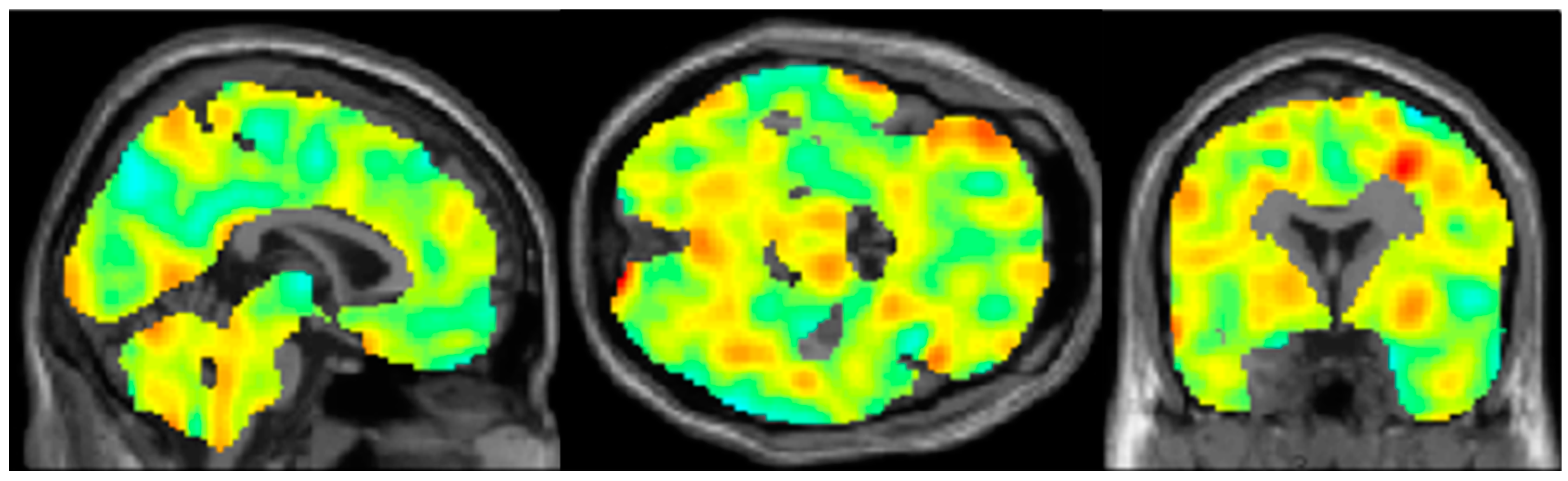 Biomedicines 11 01108 g001 Biomedicines 11 01108 g001