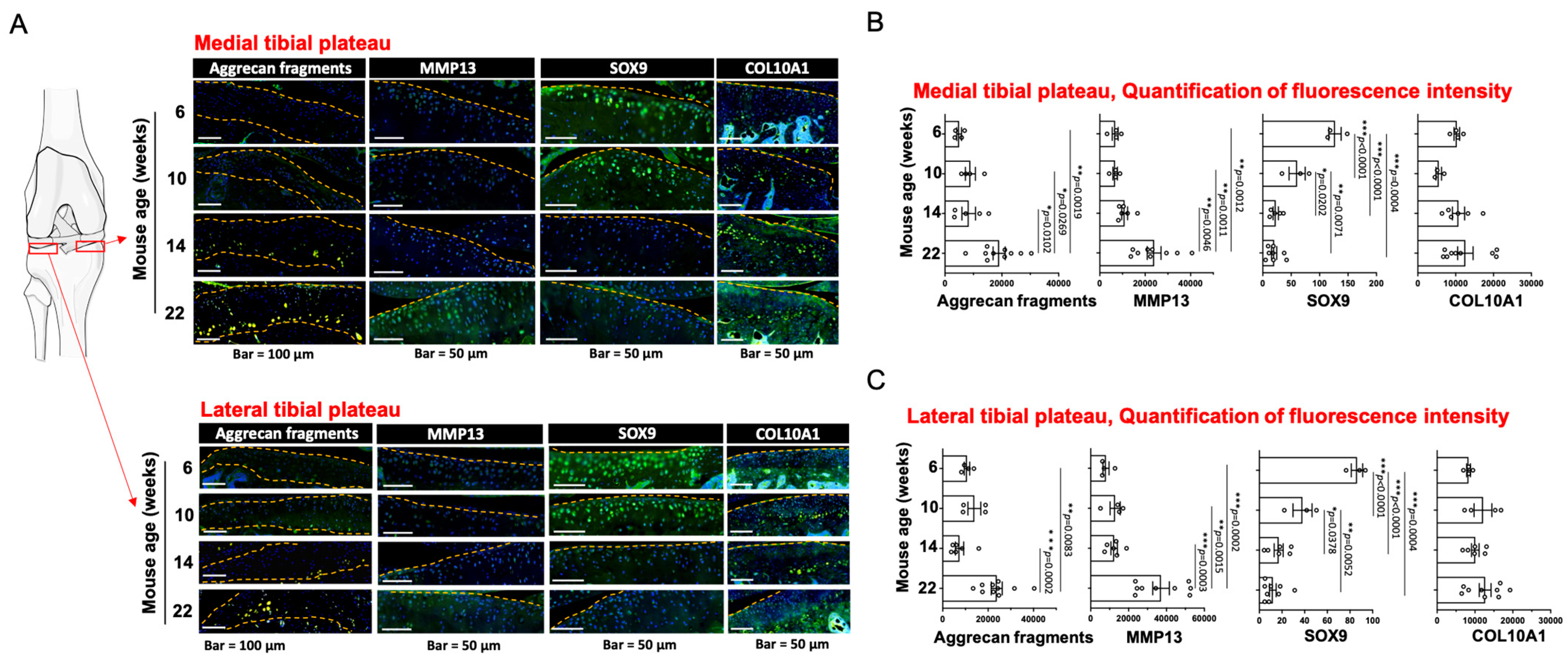 Biomedicines 11 01111 g002 Biomedicines 11 01111 g002