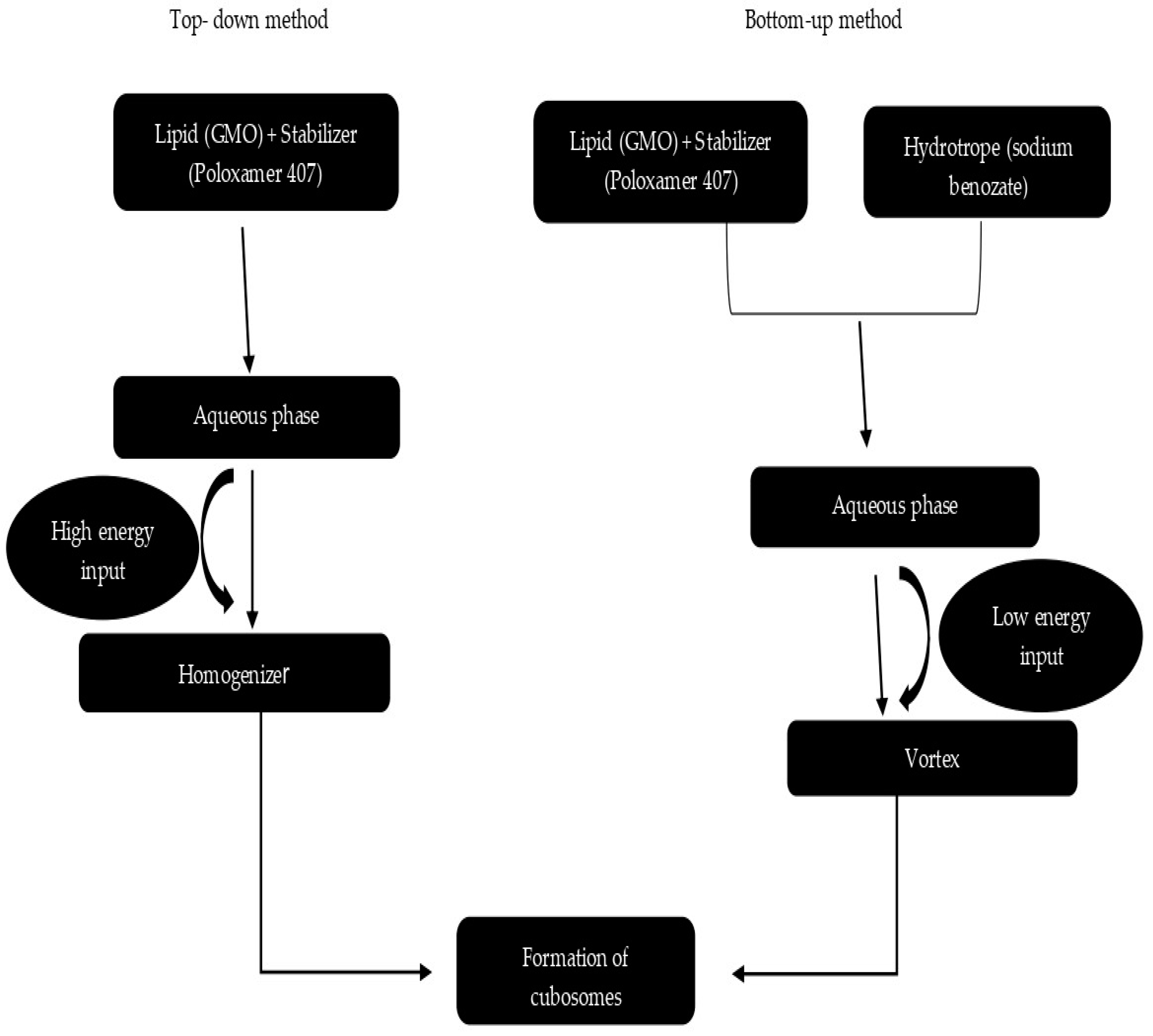 Biomedicines 11 01114 g005