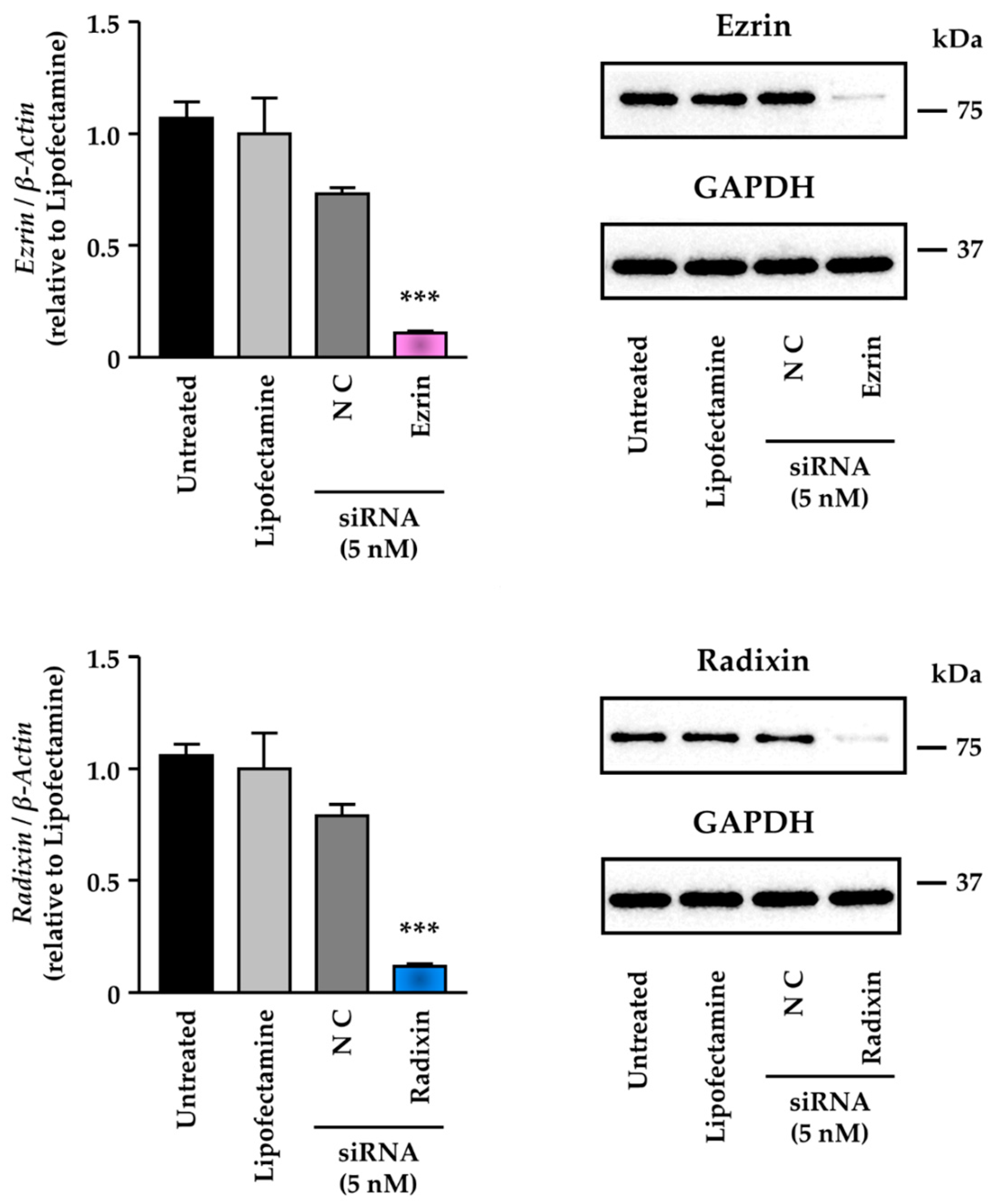 Biomedicines 11 01117 g003 Biomedicines 11 01117 g003