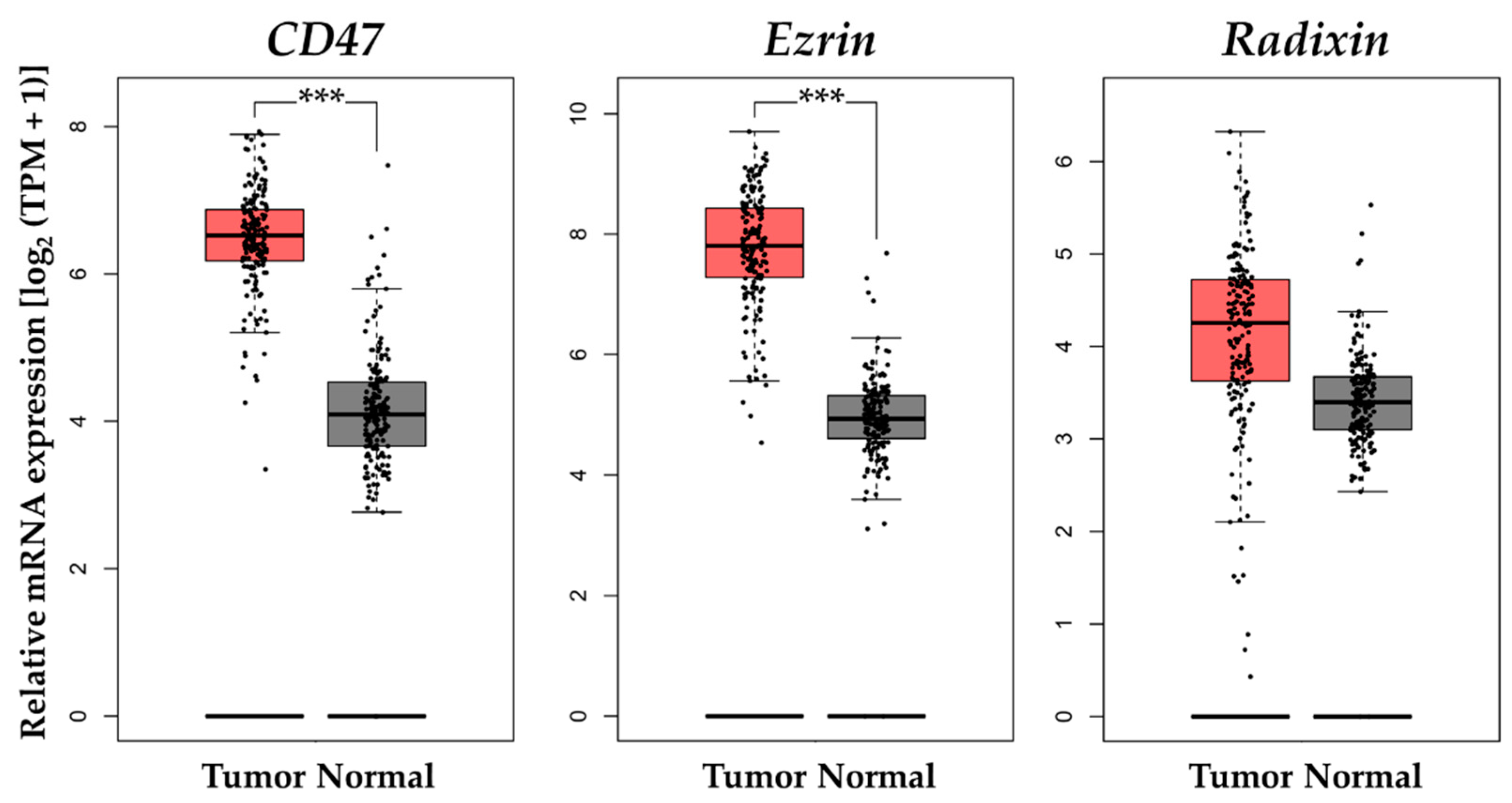 Biomedicines 11 01117 g006 Biomedicines 11 01117 g006