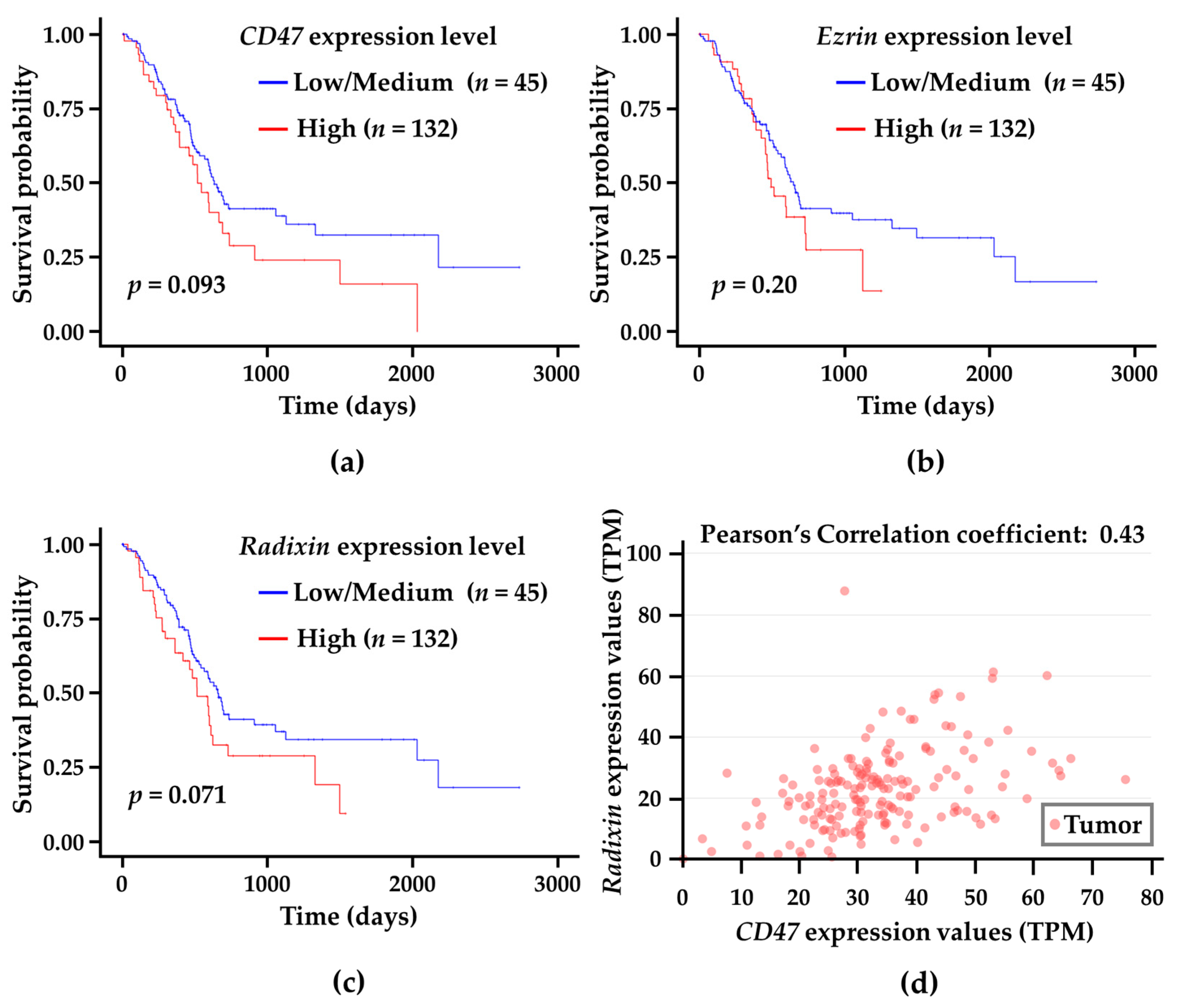 Biomedicines 11 01117 g007 Biomedicines 11 01117 g007