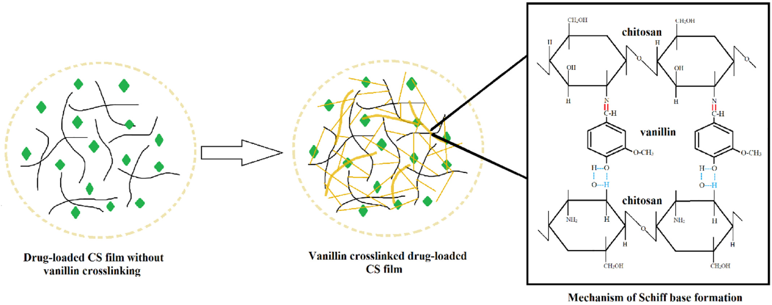 Biomedicines 11 01124 g003