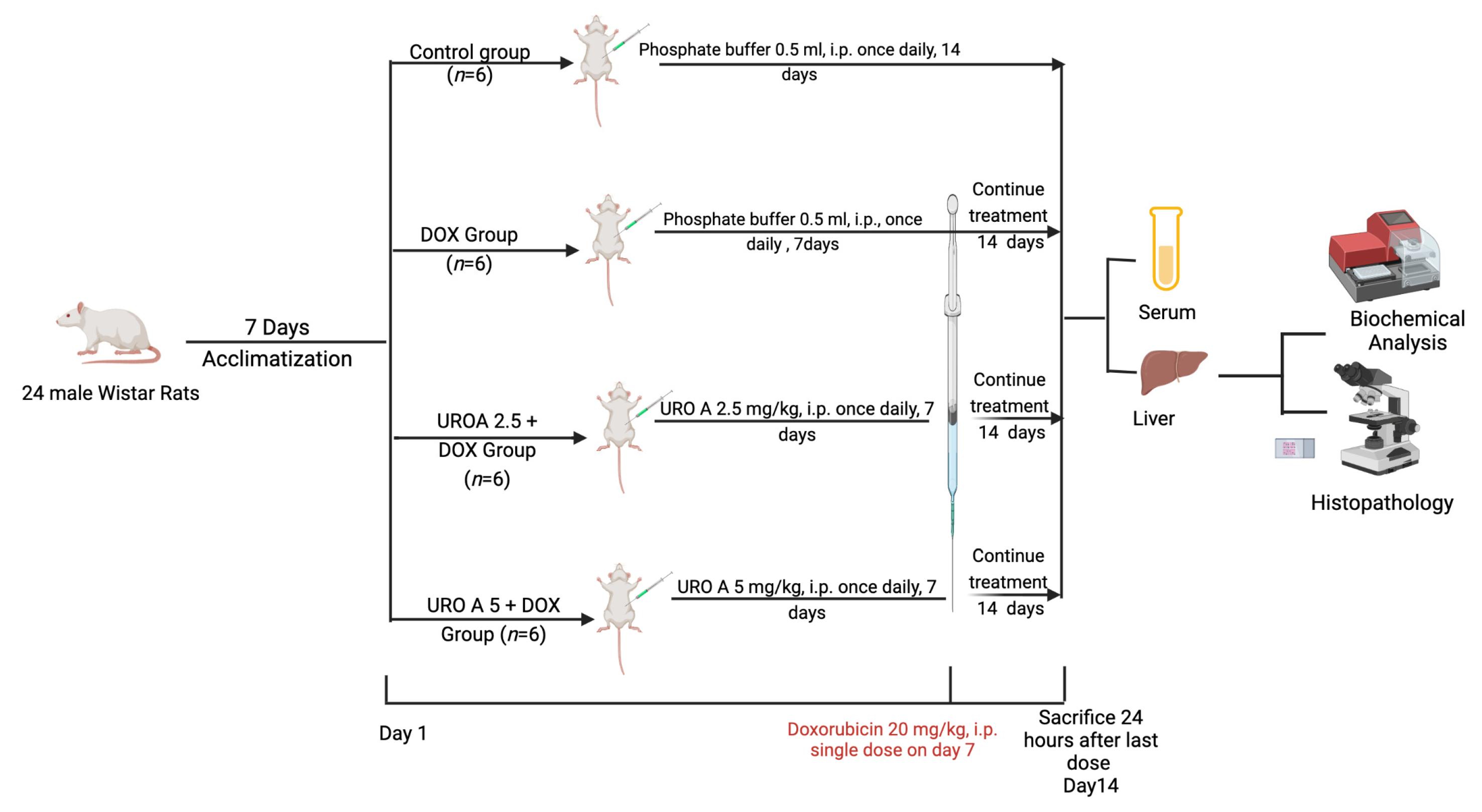 Biomedicines 11 01125 g001 Biomedicines 11 01125 g001