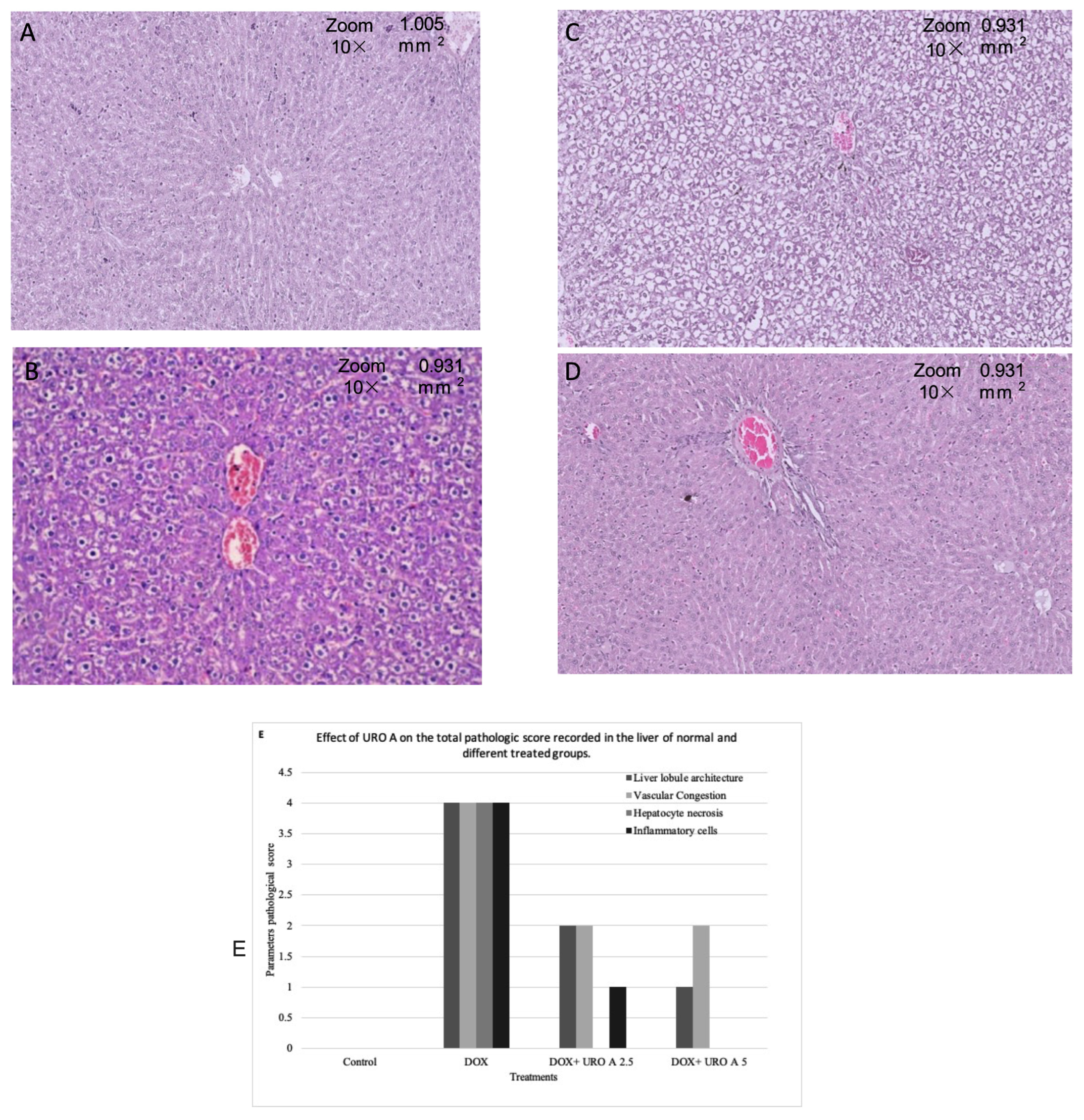 Biomedicines 11 01125 g003 Biomedicines 11 01125 g003