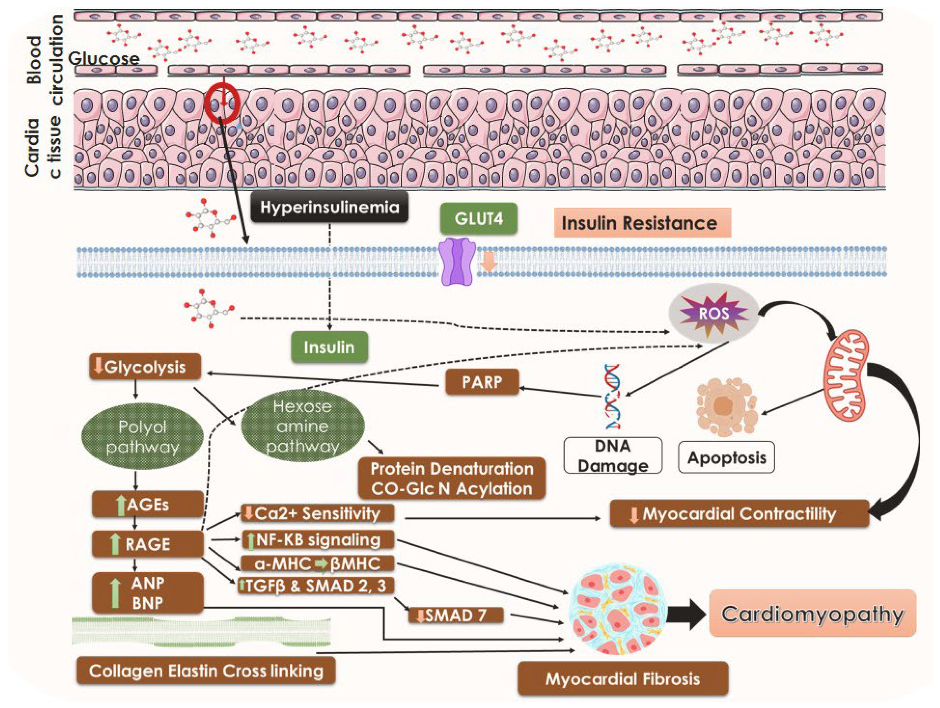 Biomedicines 11 01126 g001 Biomedicines 11 01126 g001