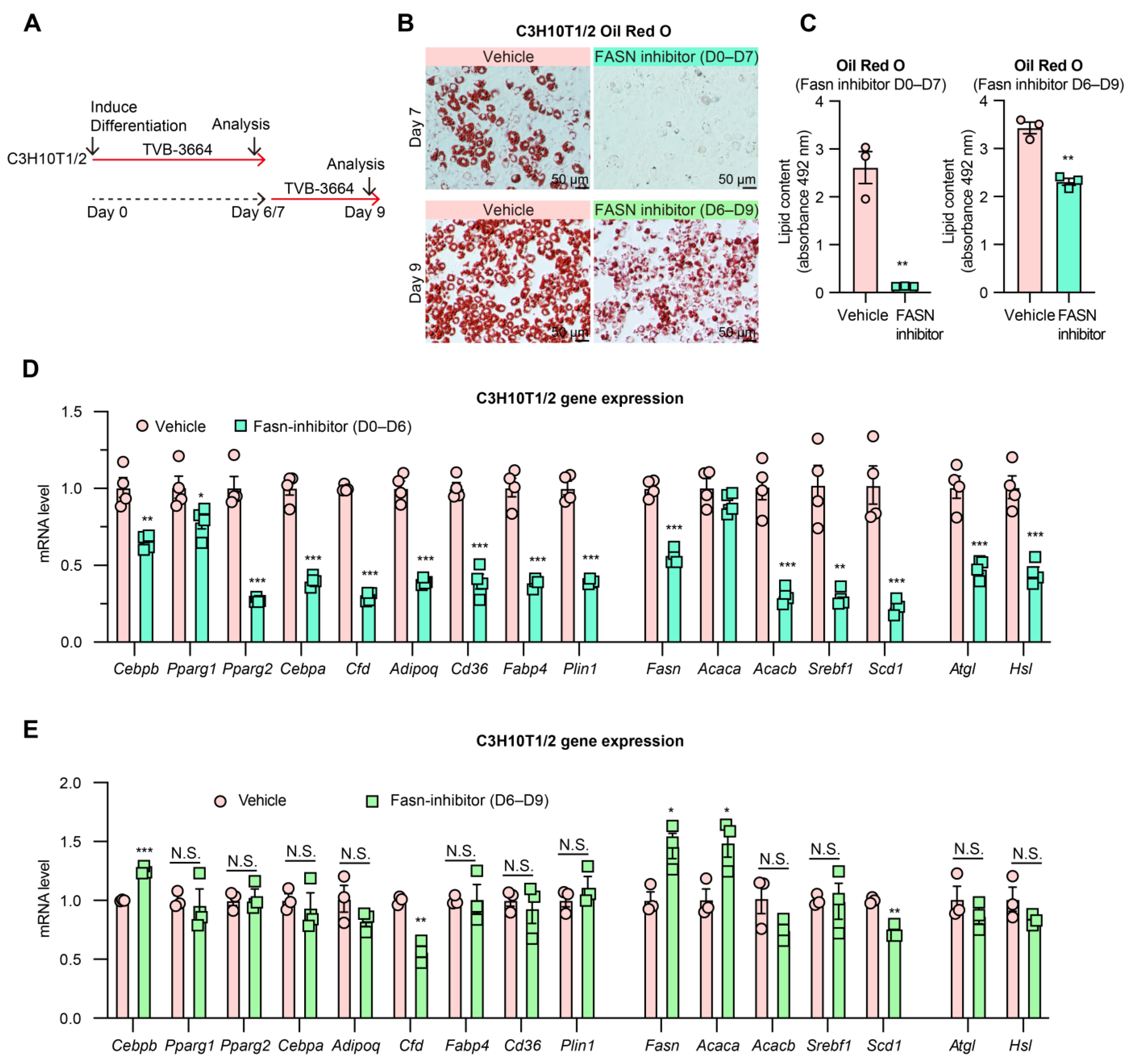 Biomedicines 11 01132 g003