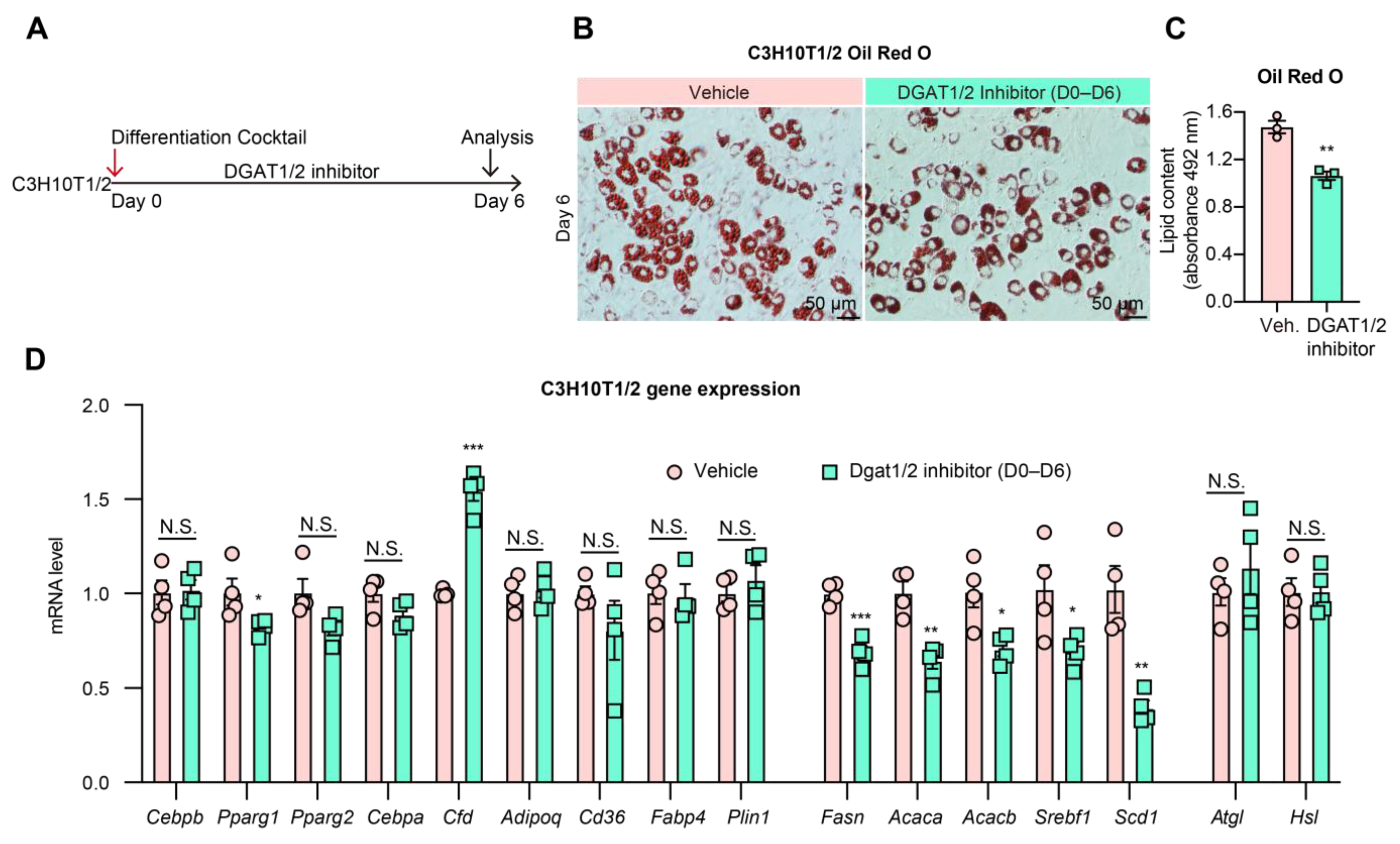 Biomedicines 11 01132 g005