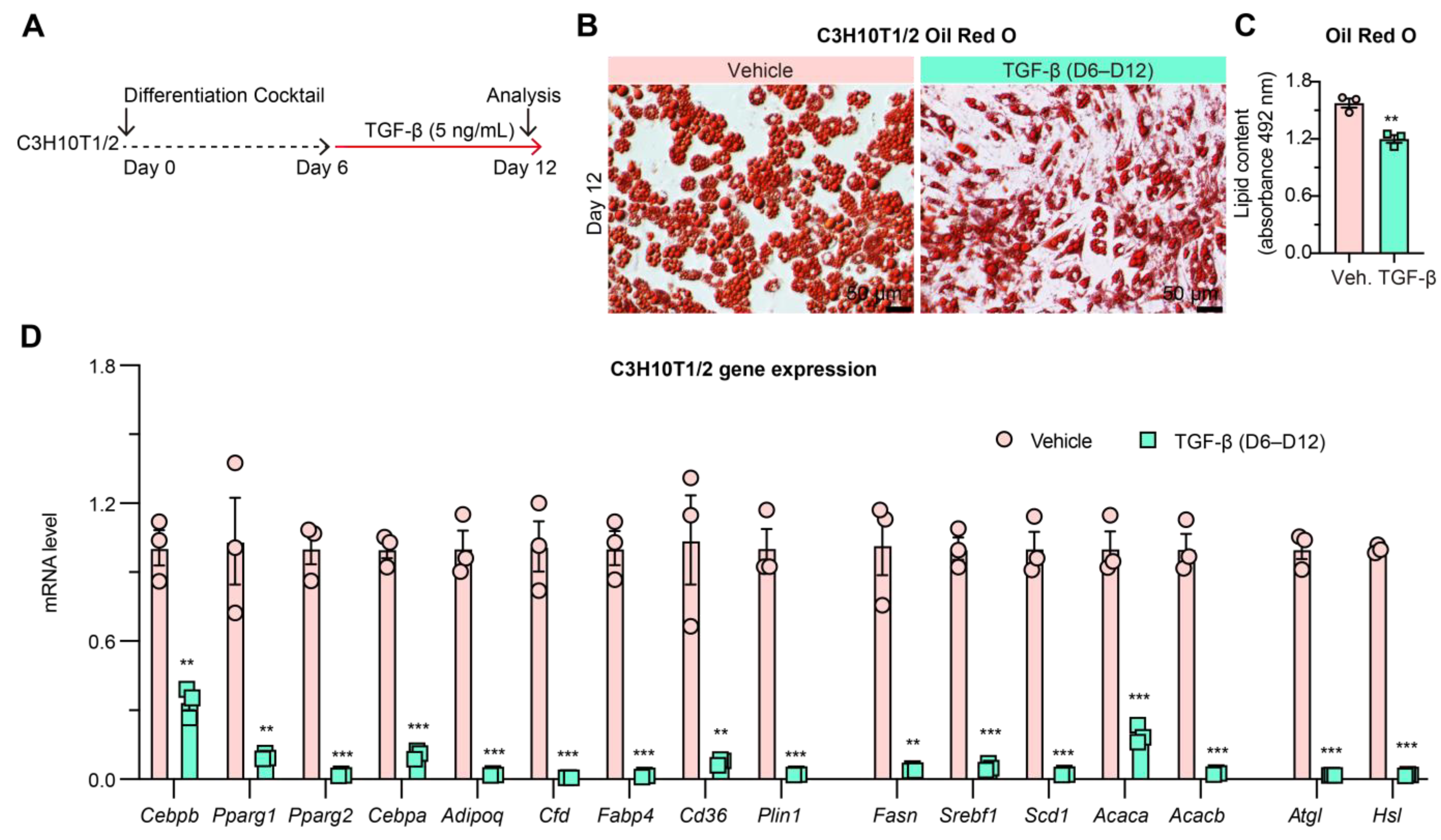 Biomedicines 11 01132 g006