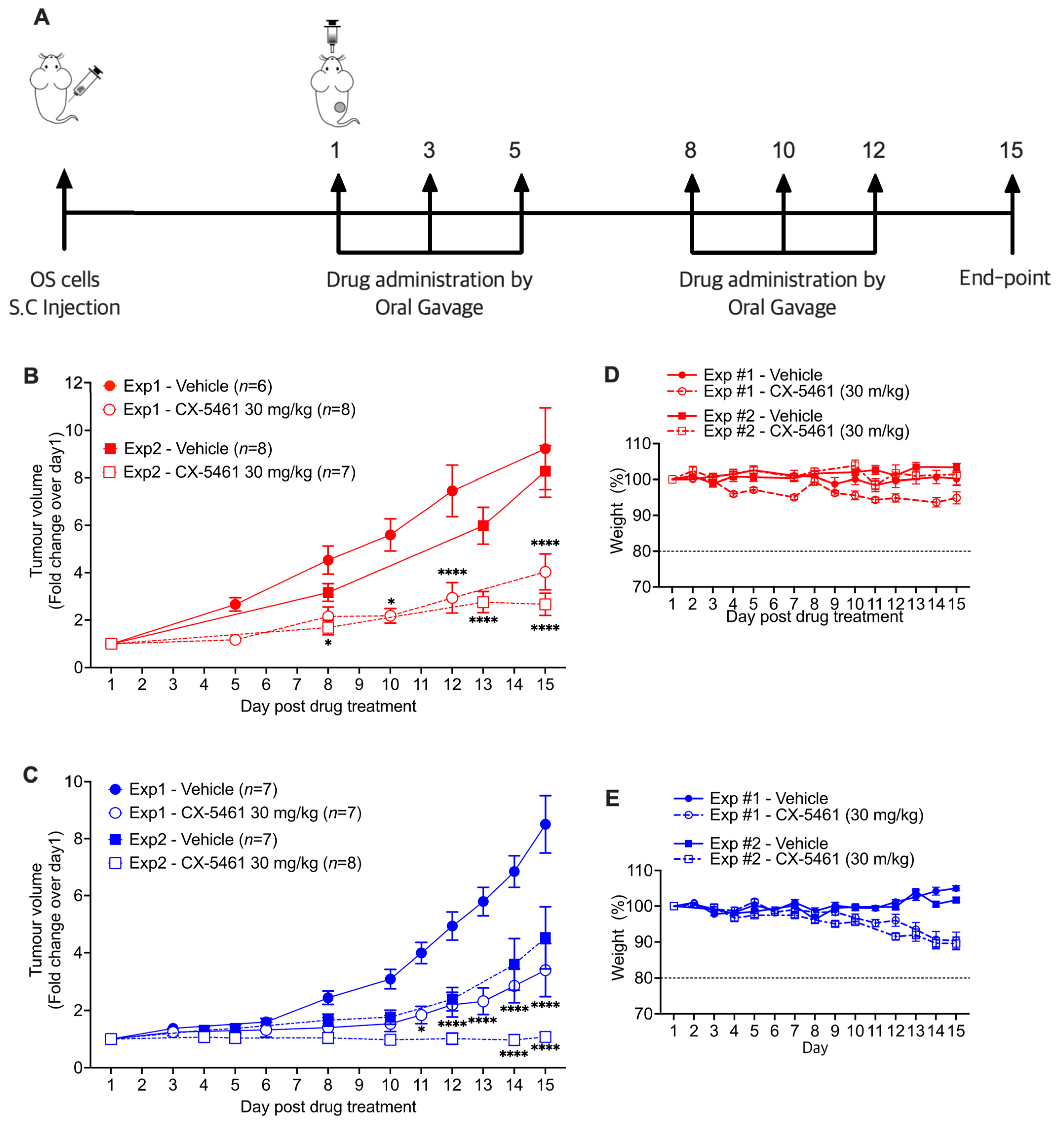 Biomedicines 11 01133 g004