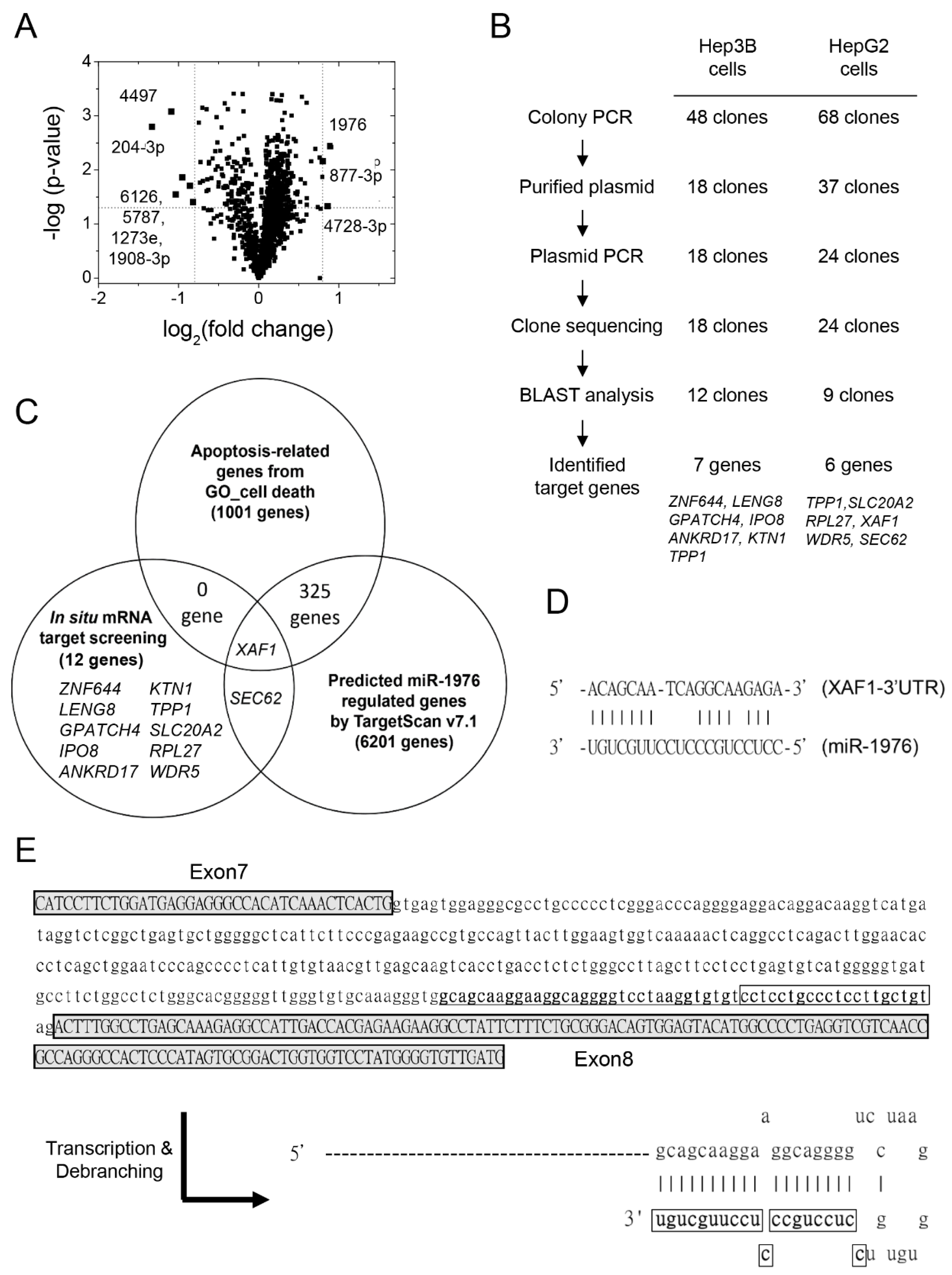 Biomedicines 11 01136 g001 Biomedicines 11 01136 g001