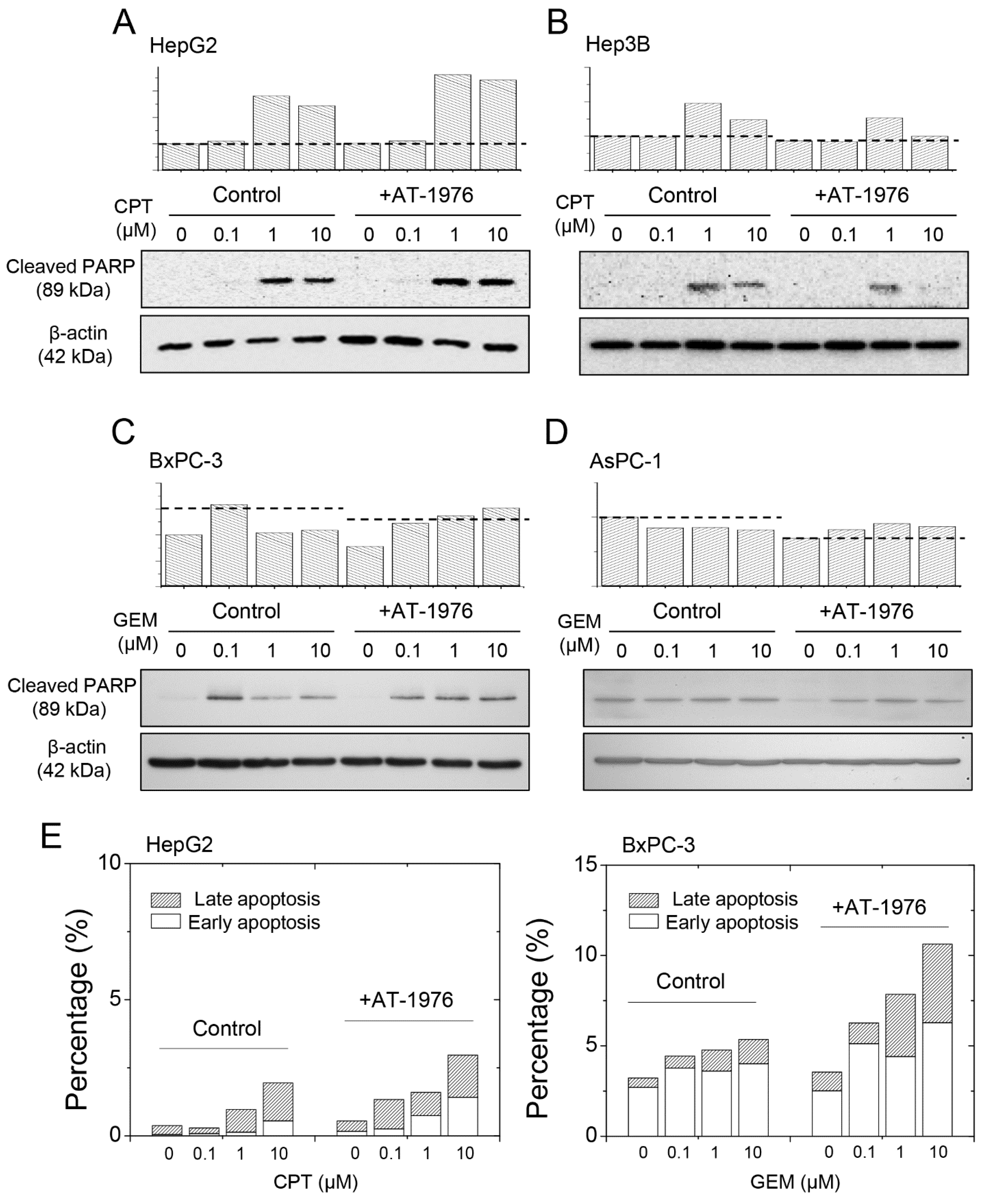 Biomedicines 11 01136 g005 Biomedicines 11 01136 g005