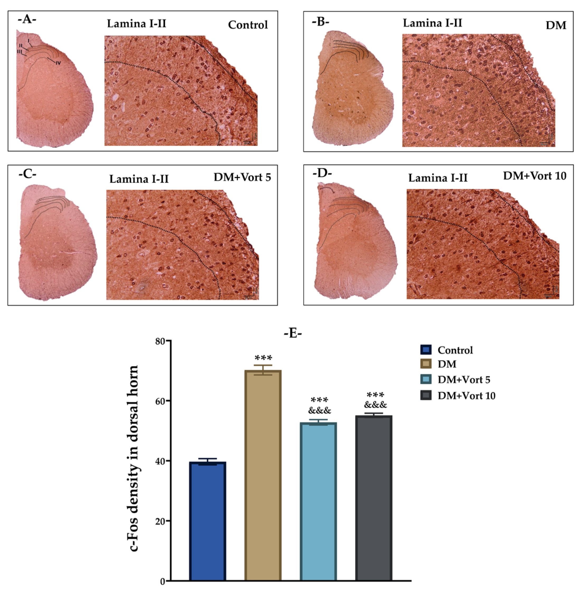 Biomedicines 11 01137 g011 Biomedicines 11 01137 g011