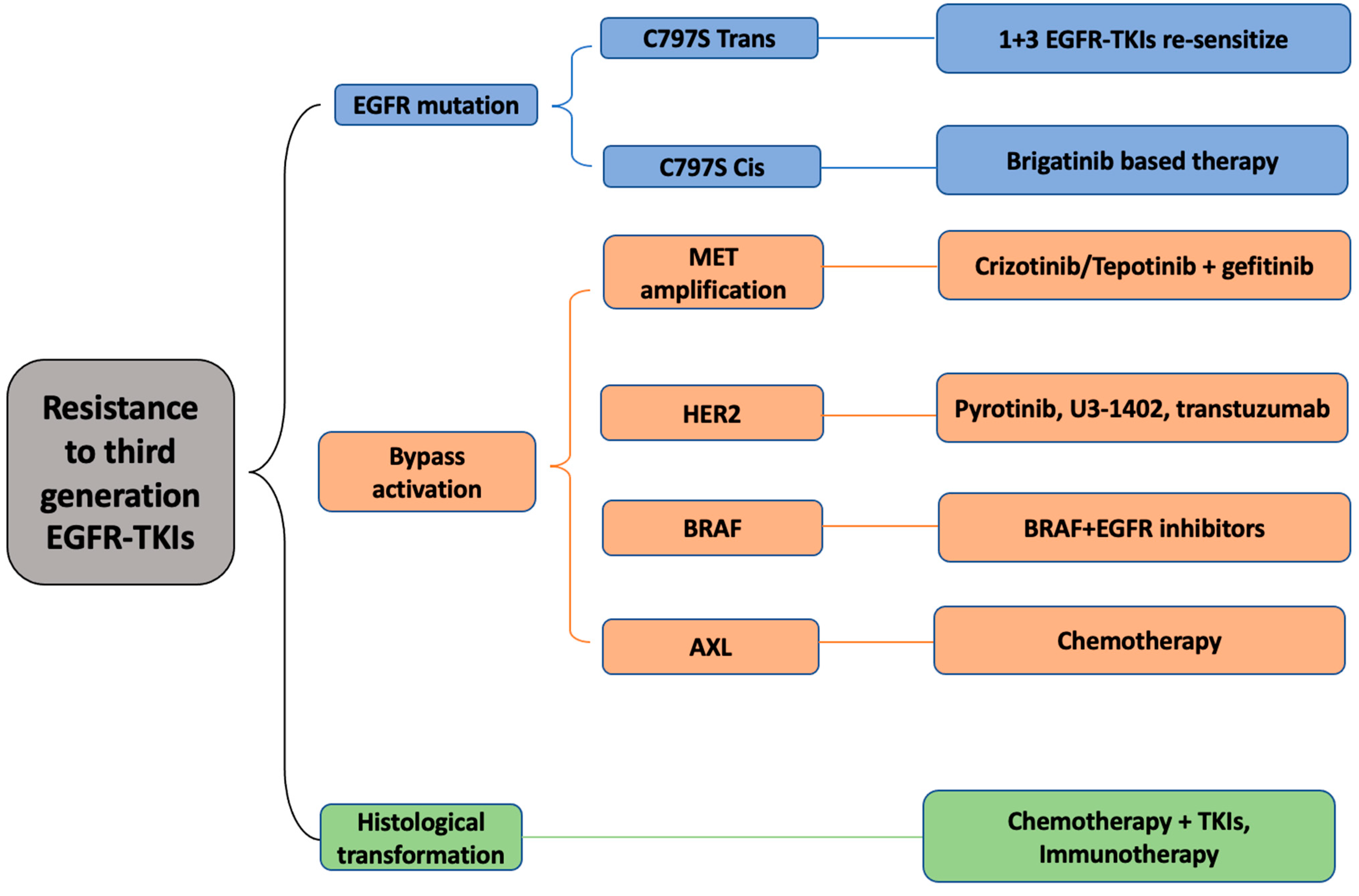 Biomedicines 11 01141 g002b