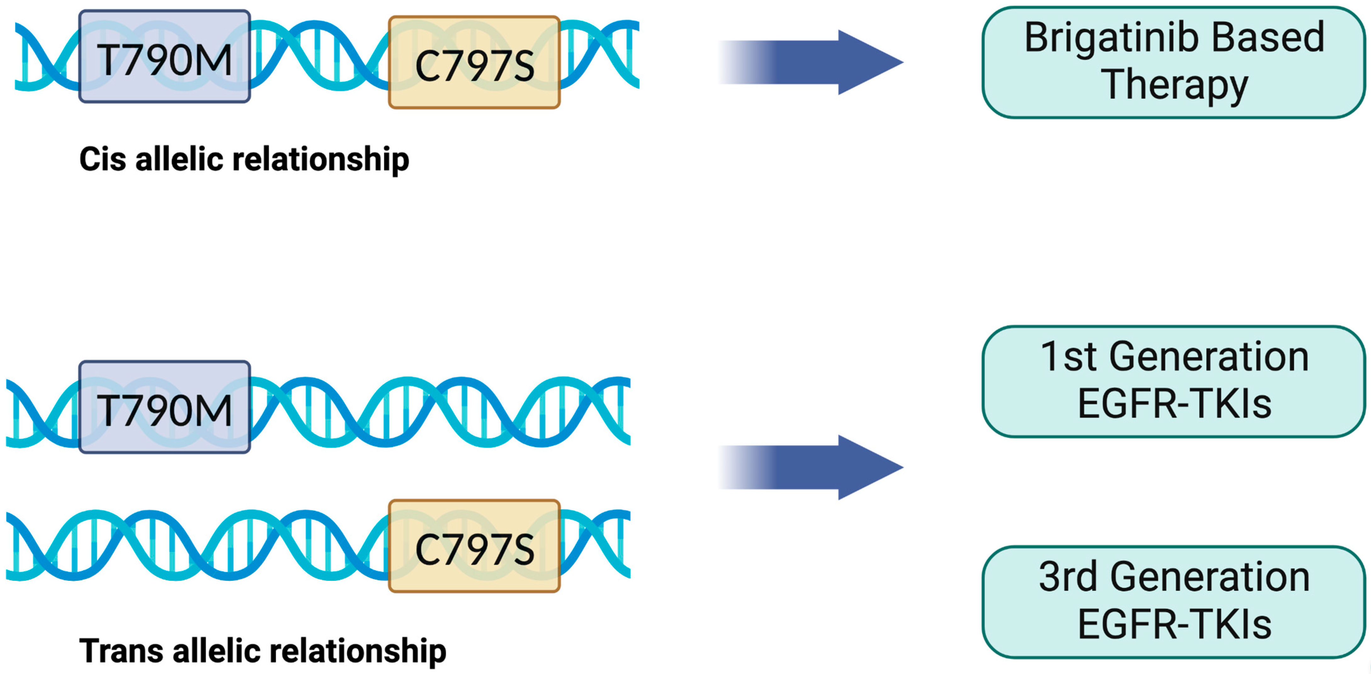 Biomedicines 11 01141 g003