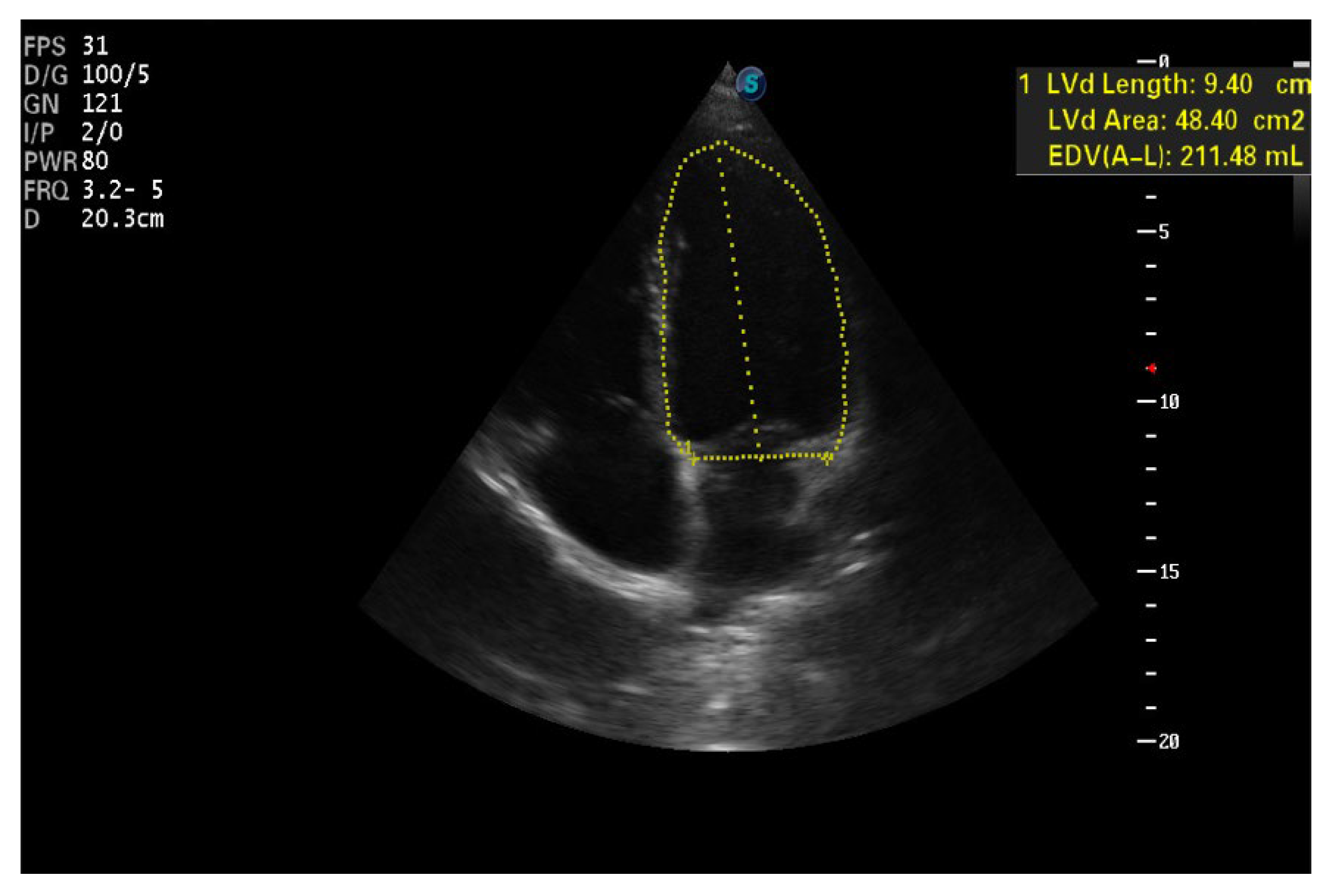 Biomedicines 11 01146 g006 Biomedicines 11 01146 g006