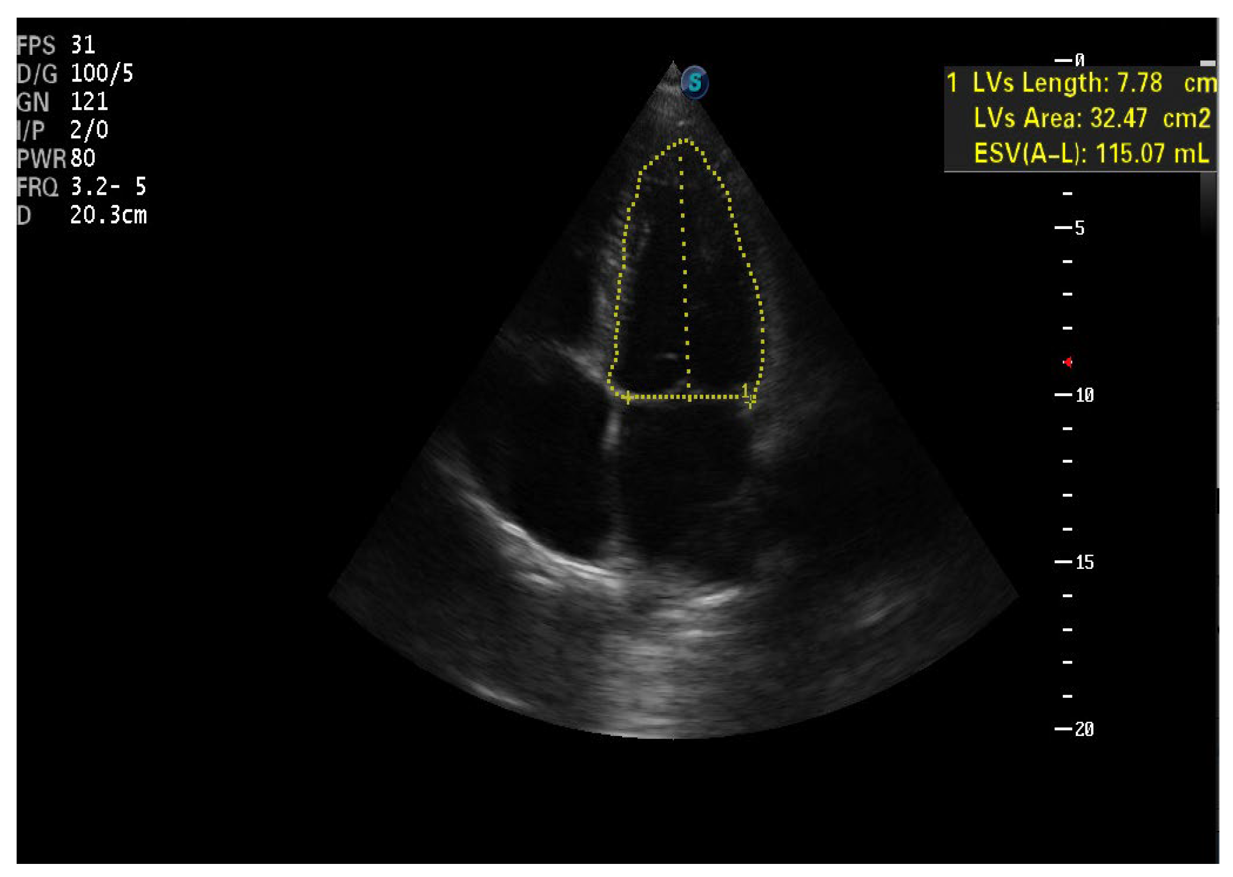 Biomedicines 11 01146 g007 Biomedicines 11 01146 g007