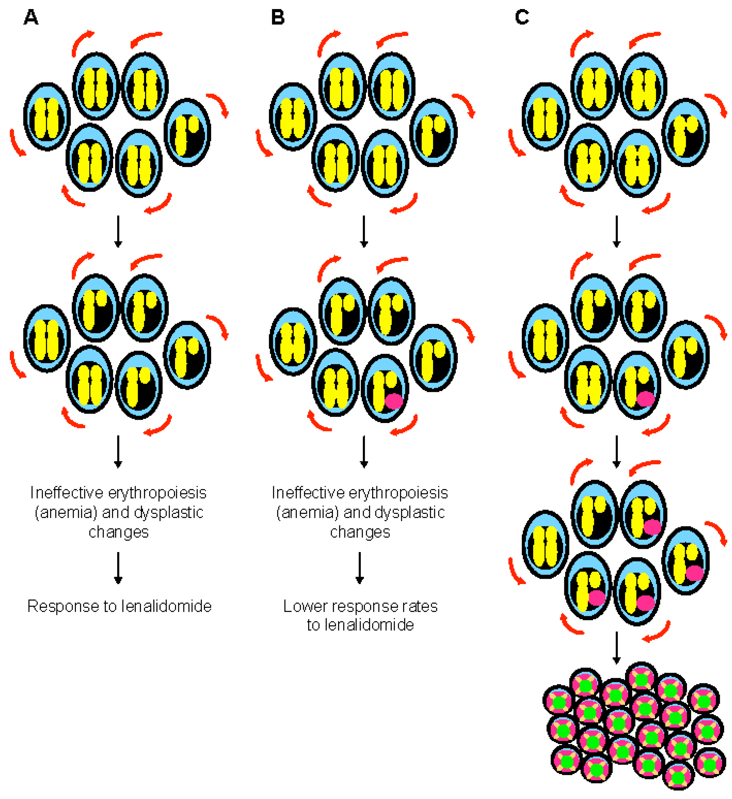 Biomedicines 11 01152 g002 Biomedicines 11 01152 g002