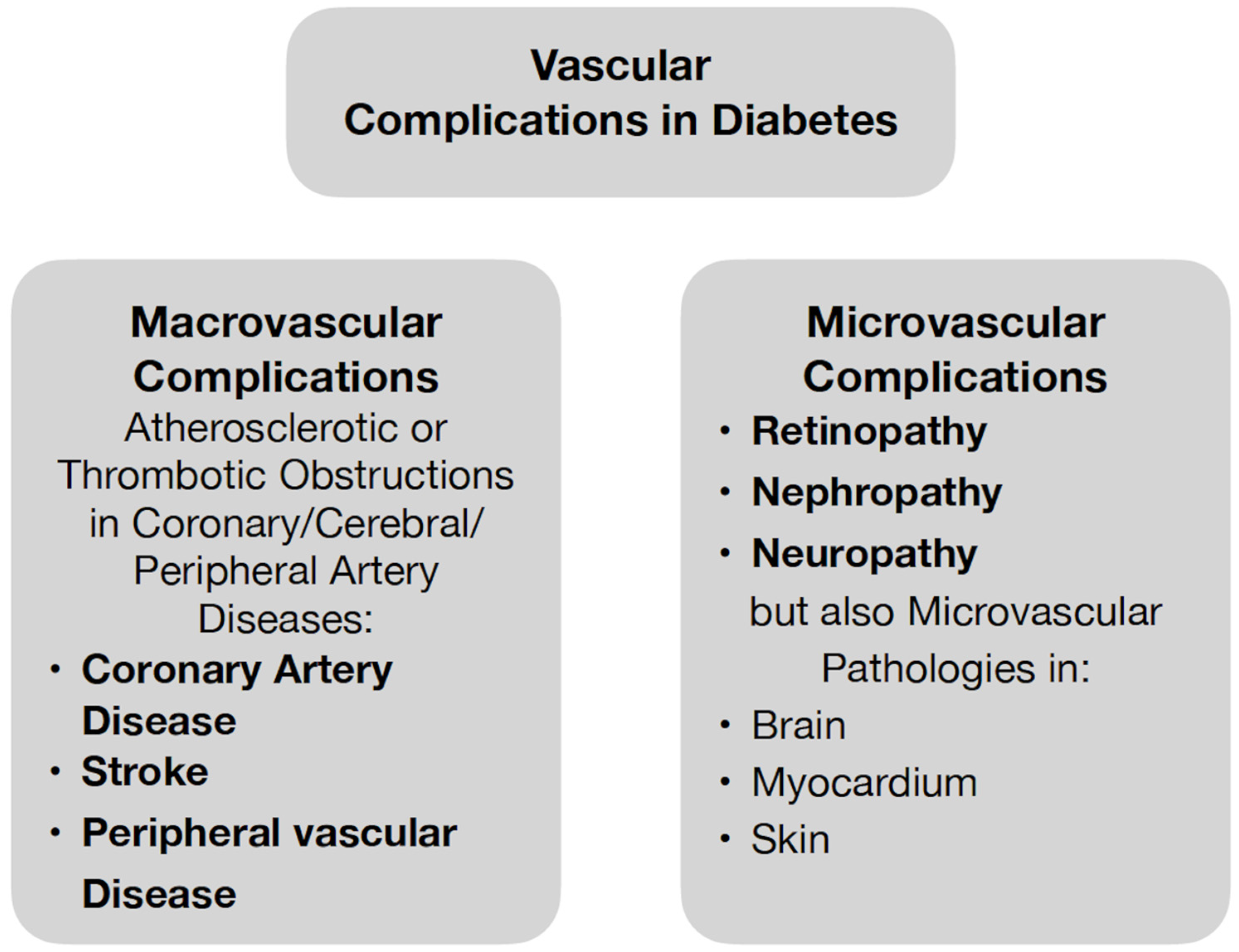 Biomedicines 11 01159 g001 Biomedicines 11 01159 g001