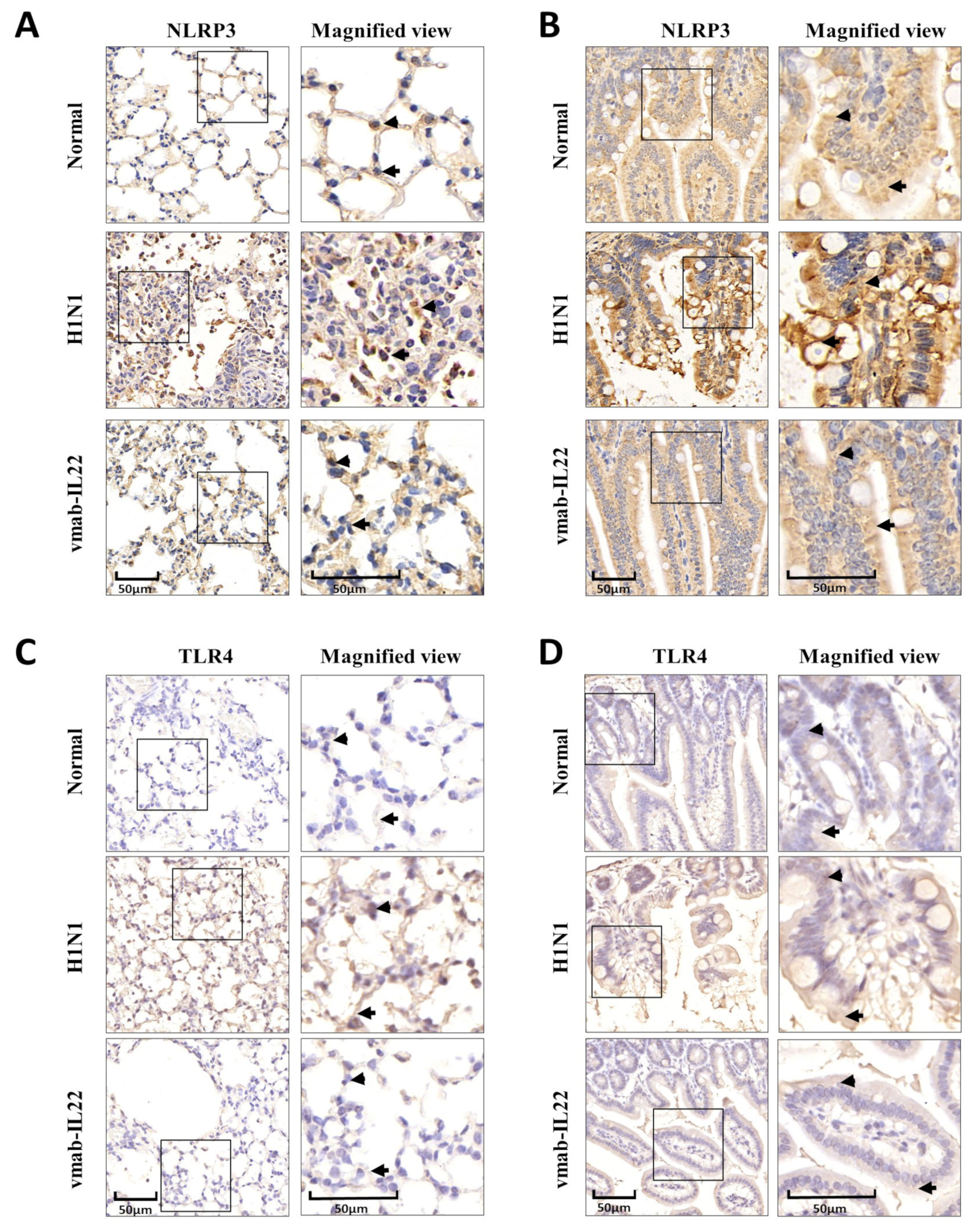 Biomedicines 11 01160 g004 Biomedicines 11 01160 g004