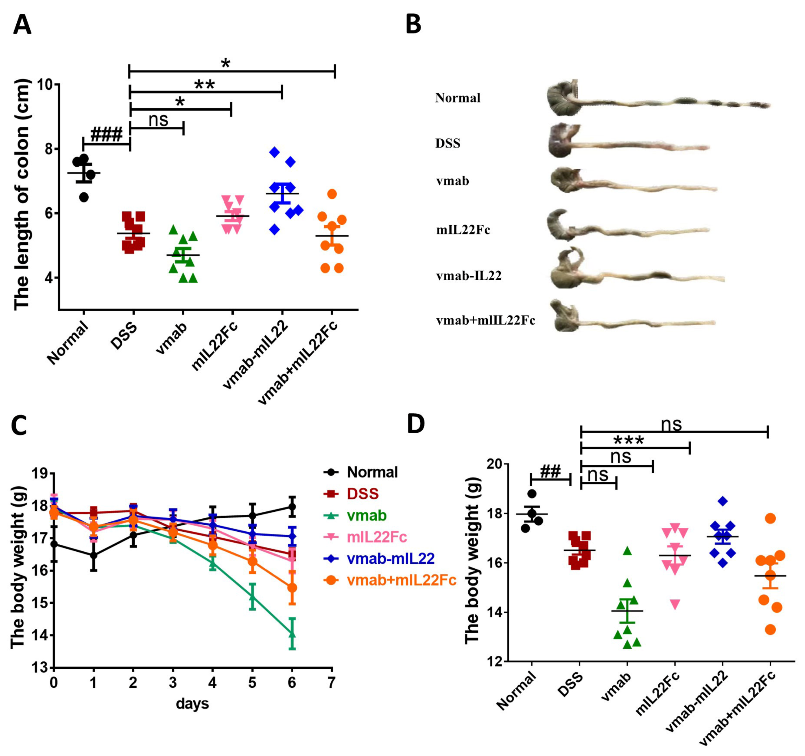 Biomedicines 11 01160 g005 Biomedicines 11 01160 g005